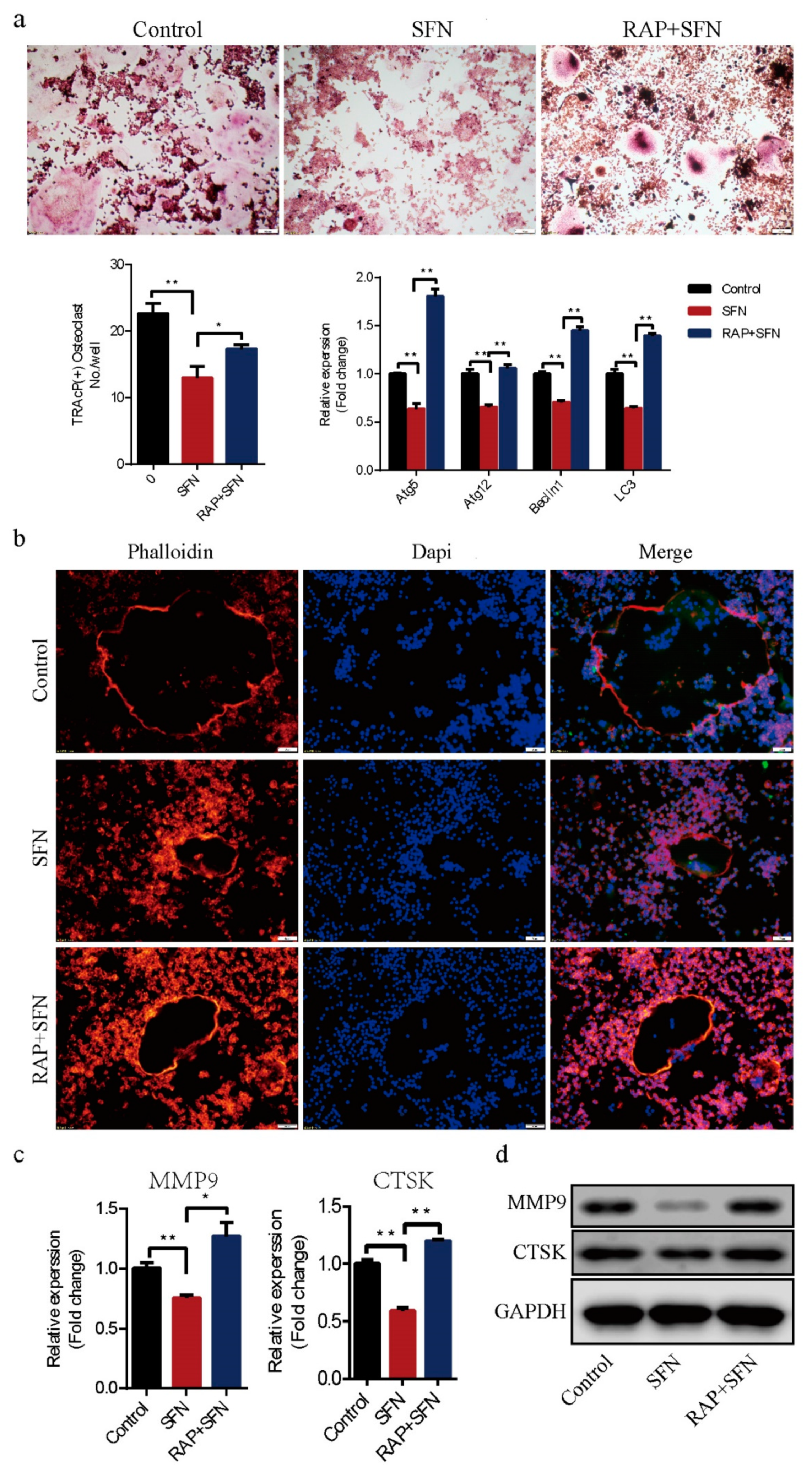 Molecules 26 00347 g004a