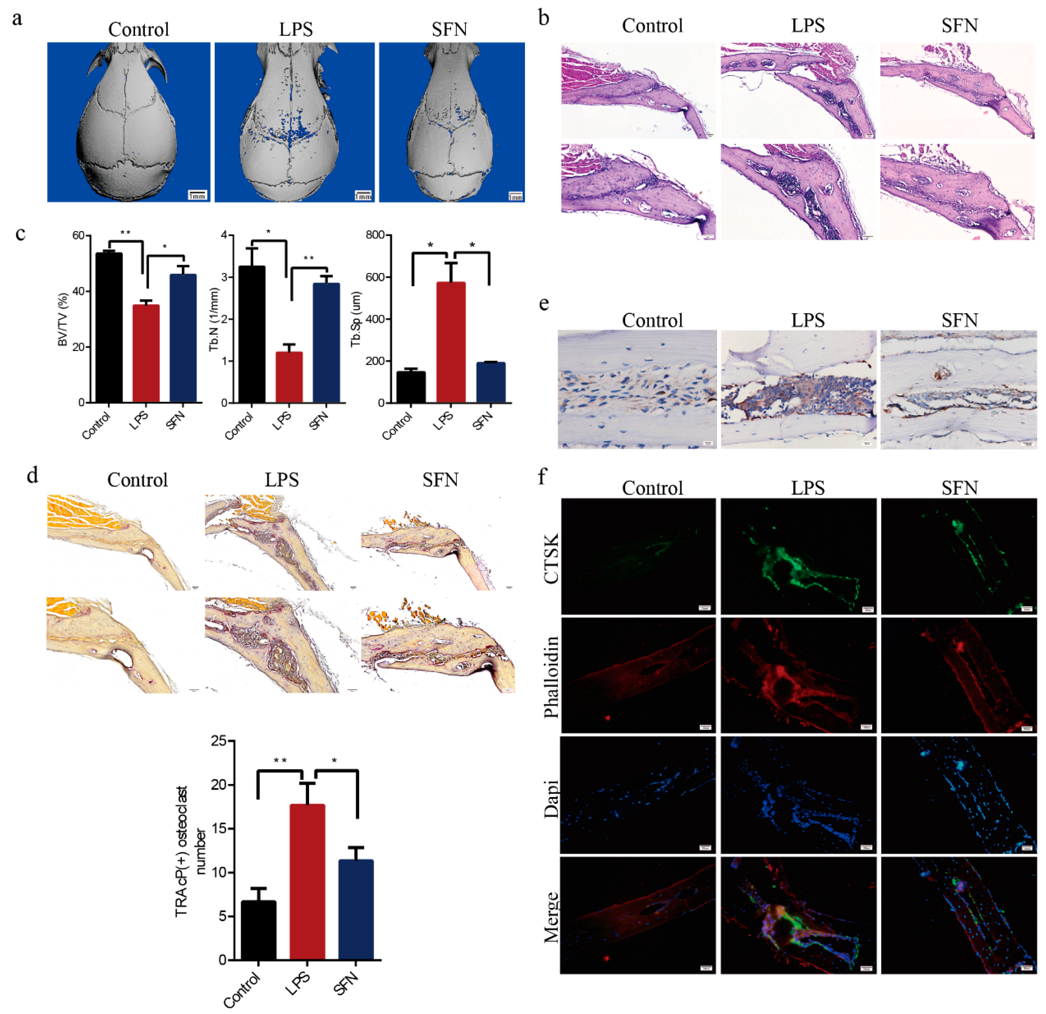 Molecules 26 00347 g005