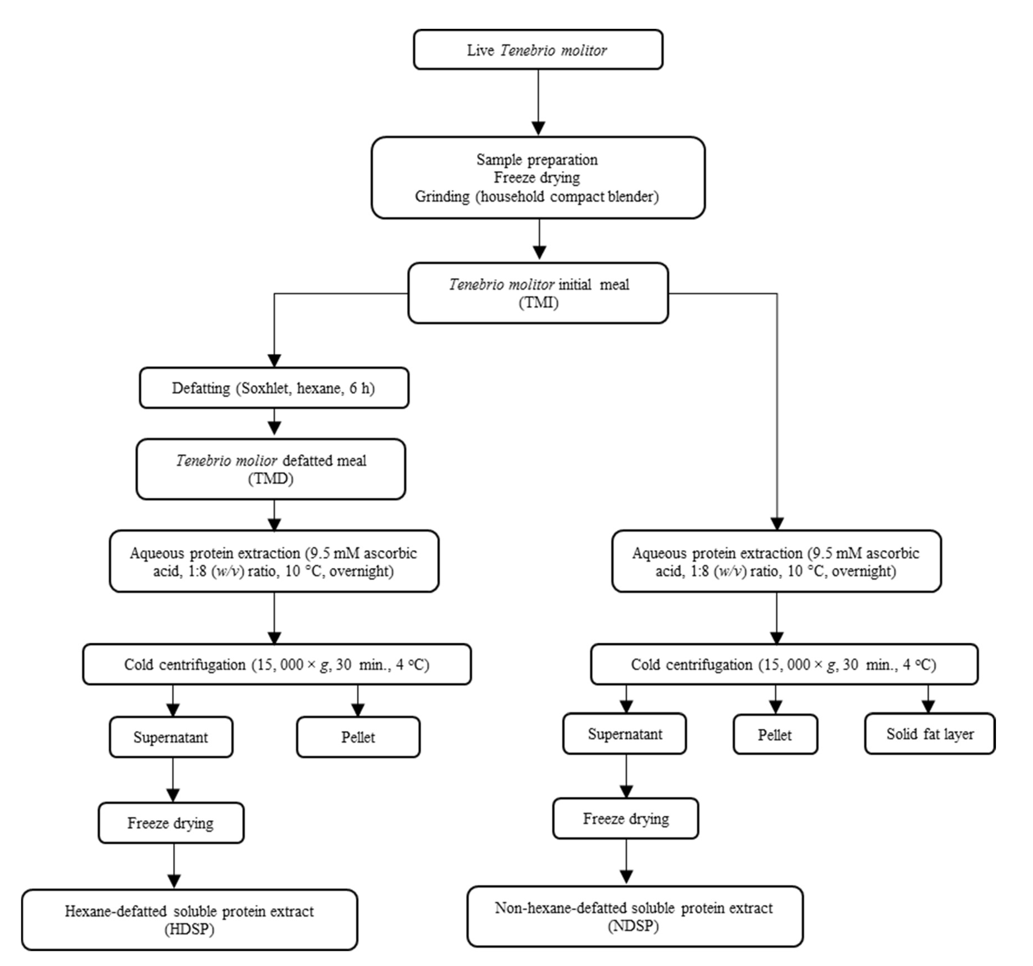 Molecules 26 00351 g001