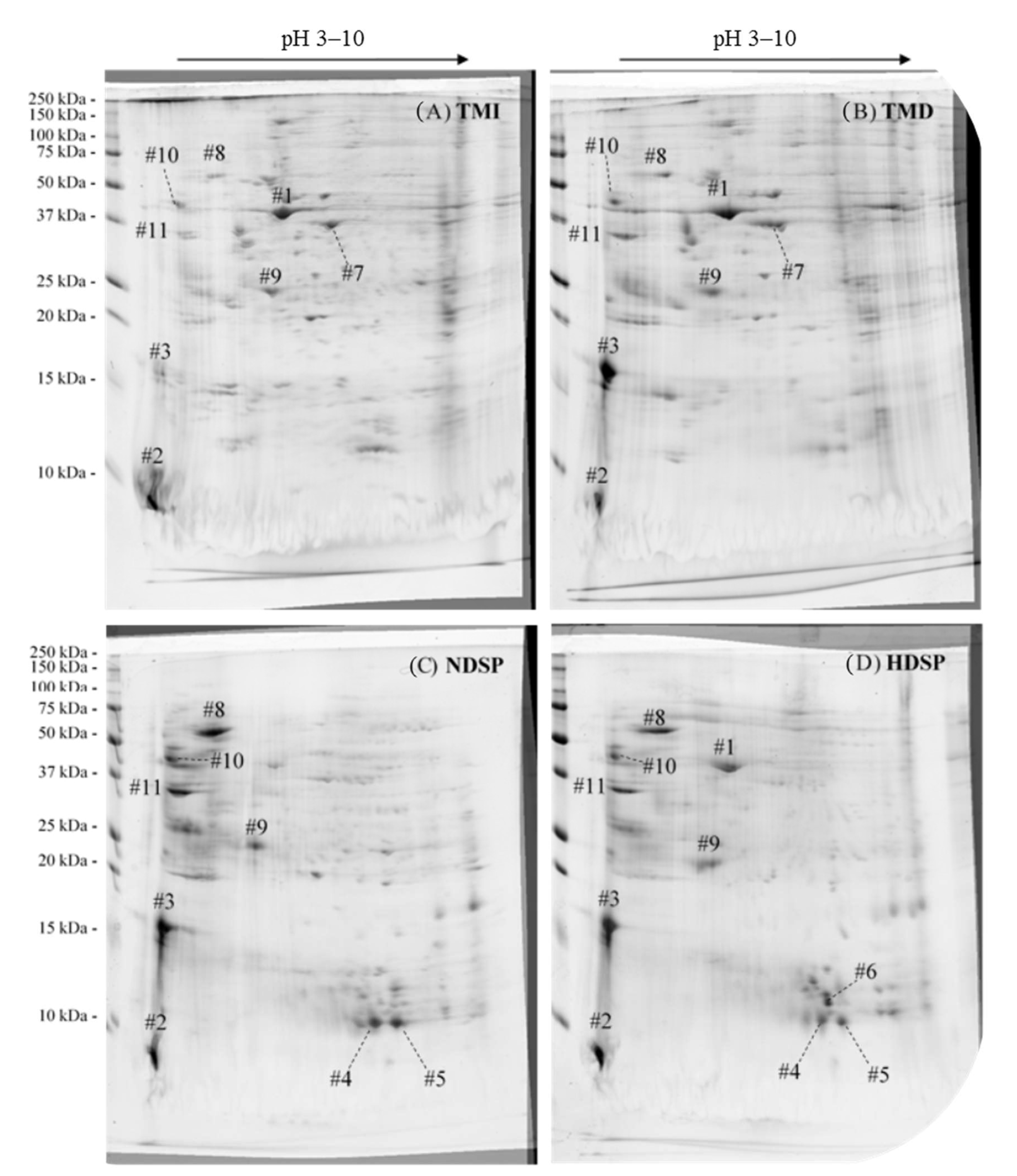 Molecules 26 00351 g002