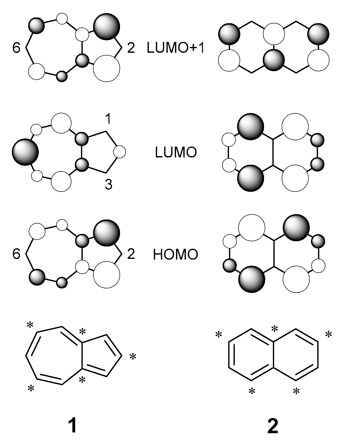 Molecules 26 00353 g001