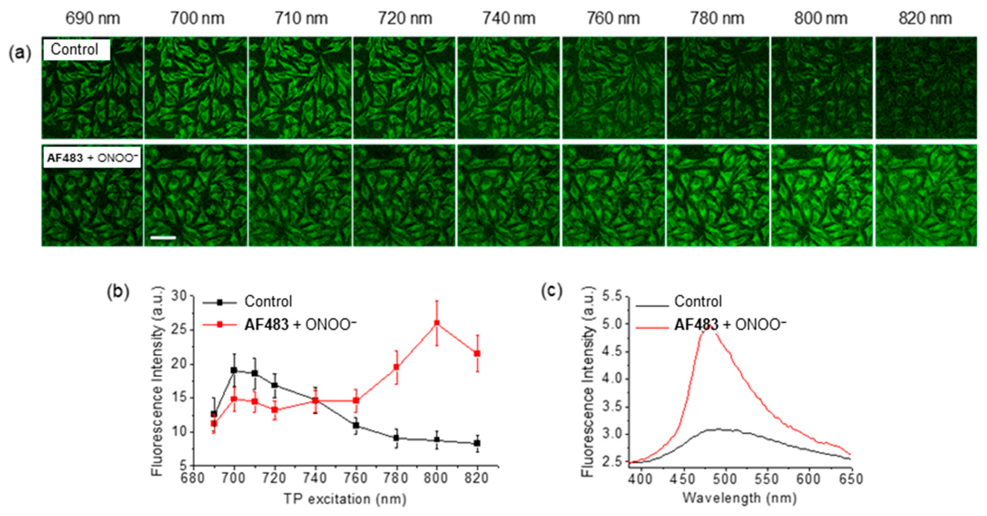 Molecules 26 00353 g018