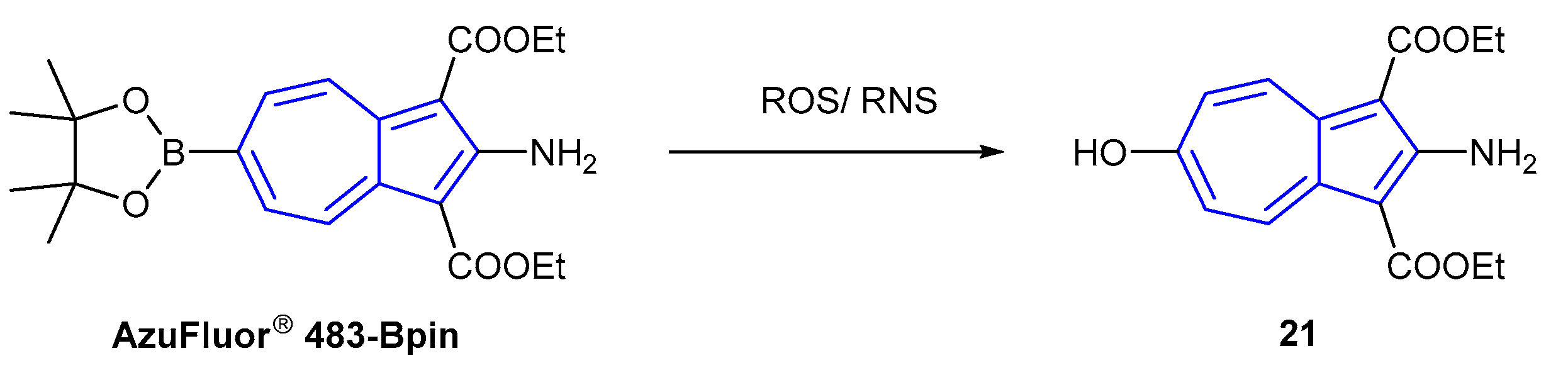 Molecules 26 00353 sch004