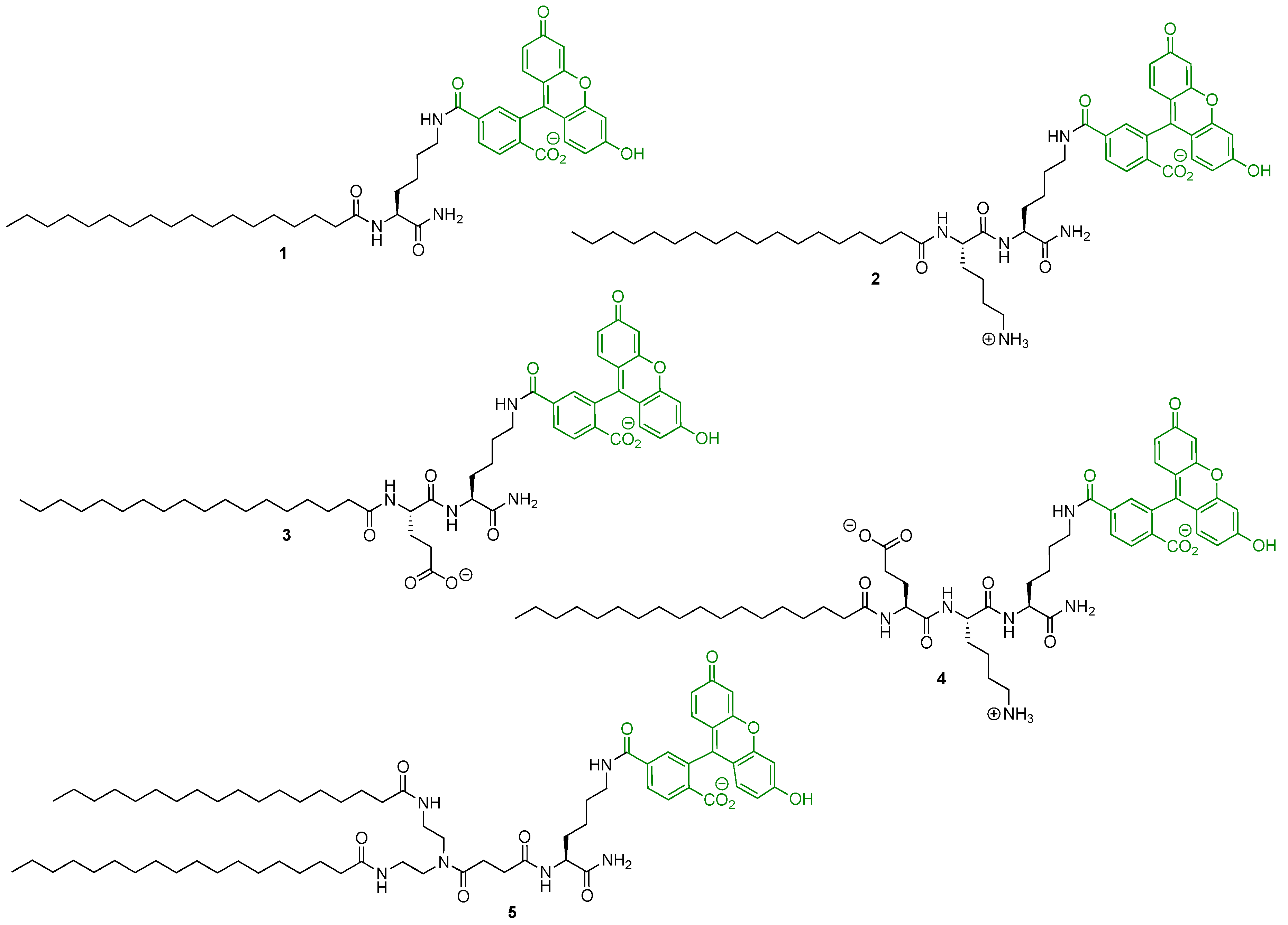 Molecules 26 00354 g001