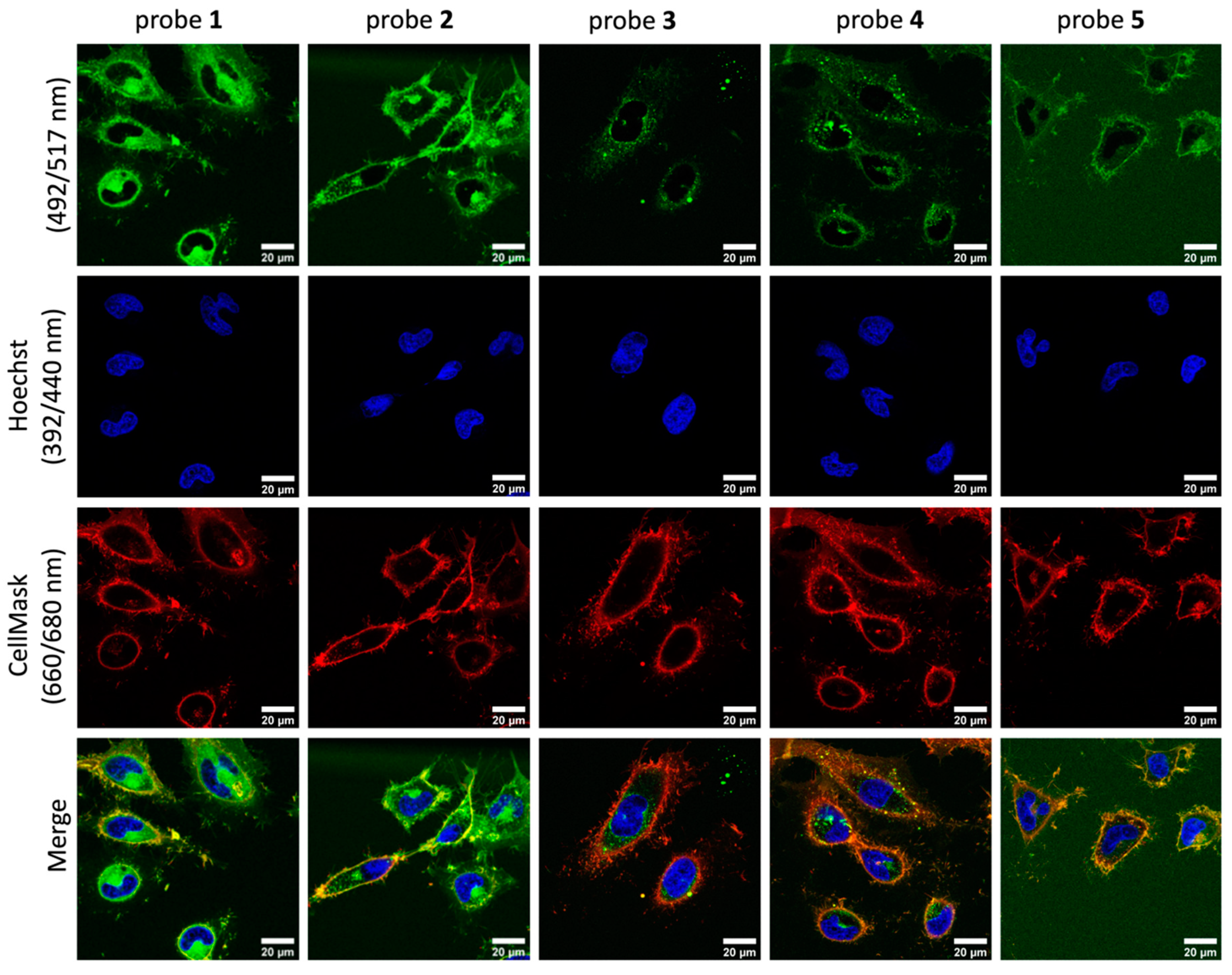 Molecules 26 00354 g002