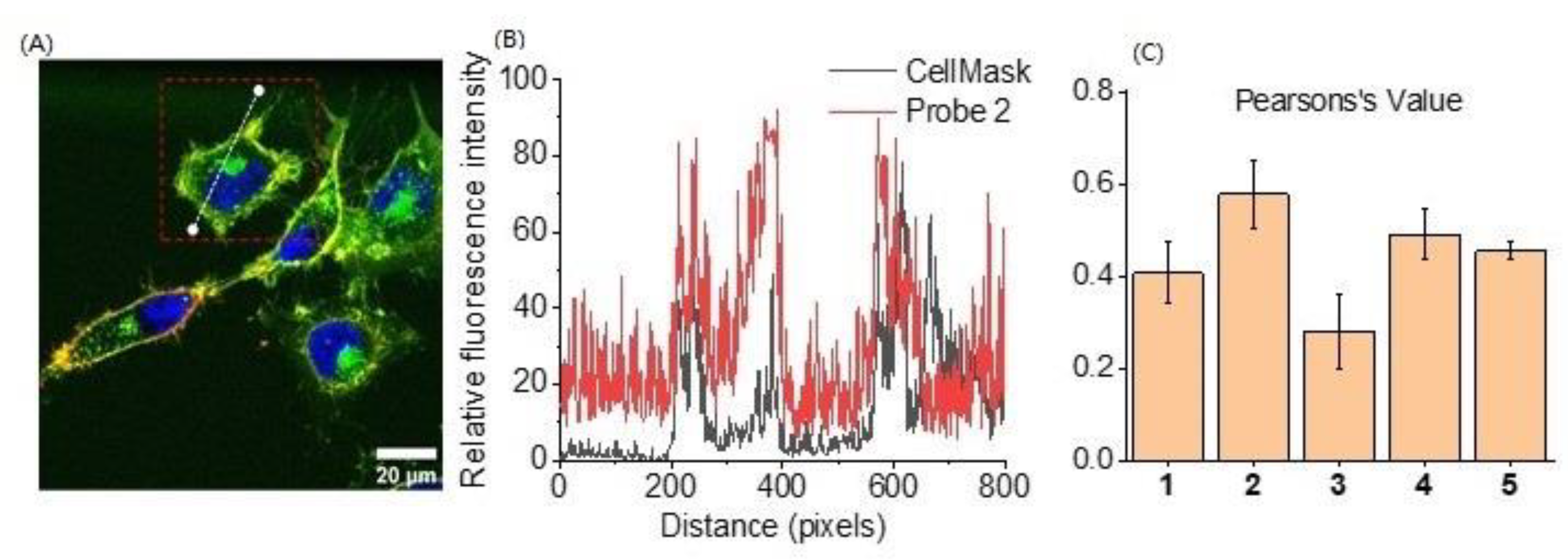 Molecules 26 00354 g003