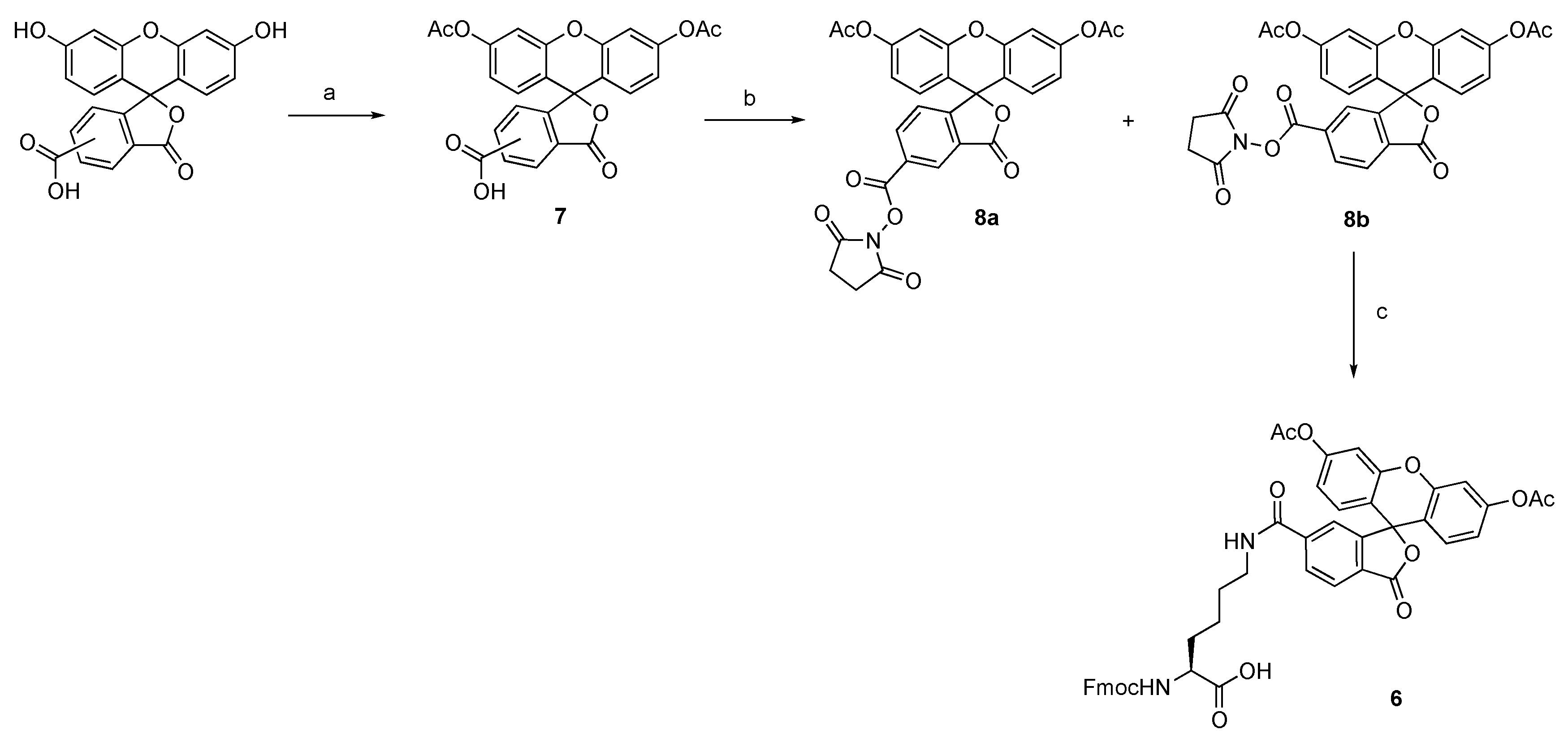 Molecules 26 00354 sch001