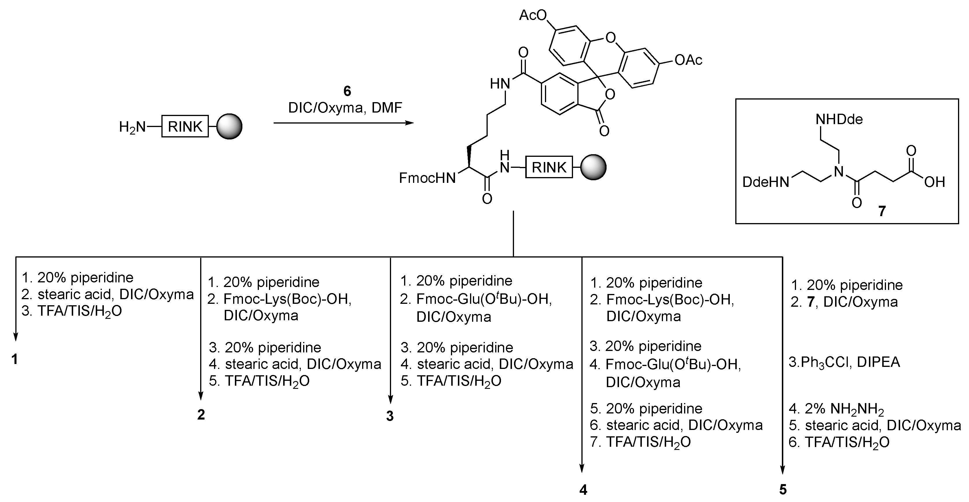 Molecules 26 00354 sch002