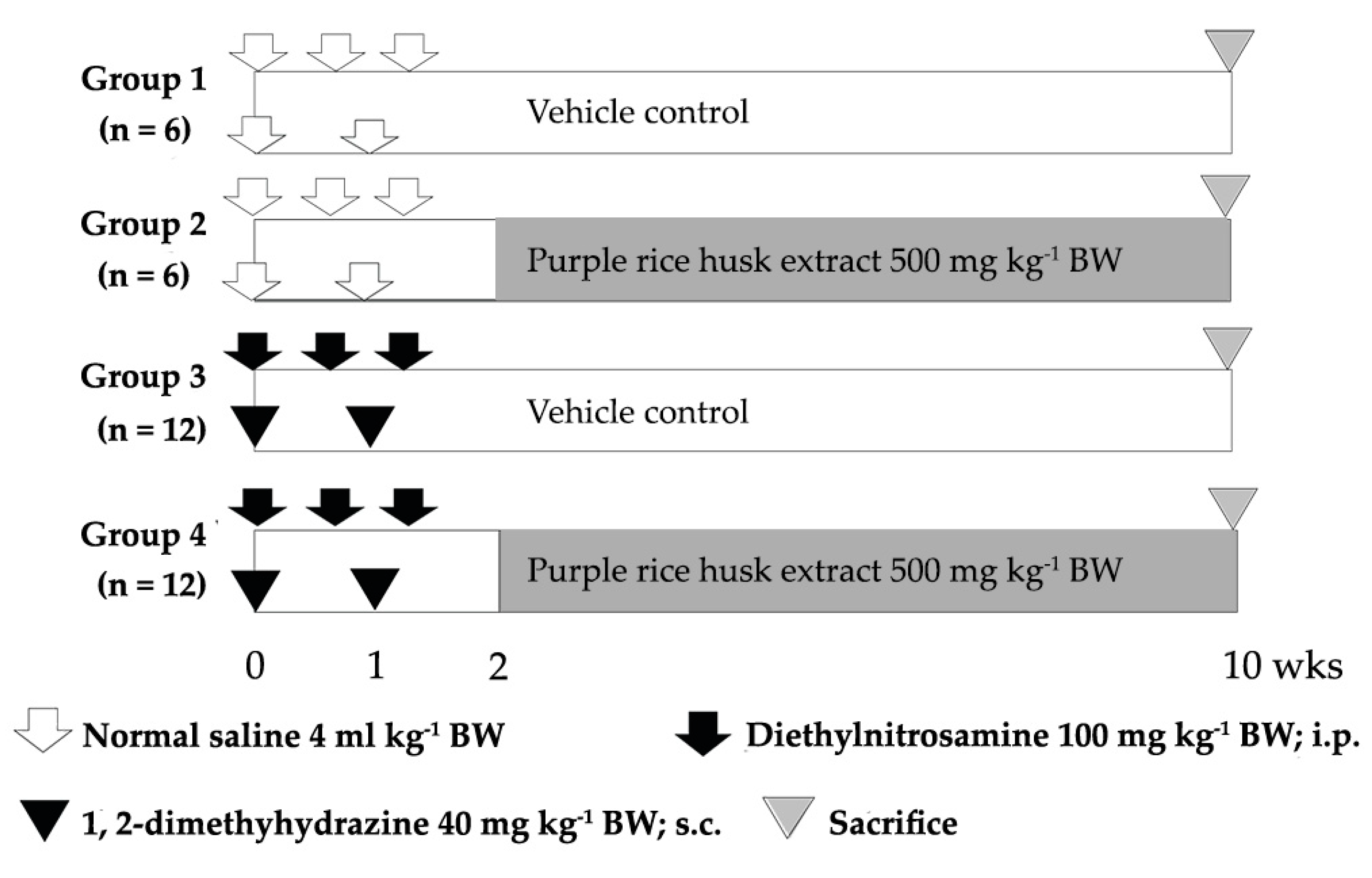 Molecules 26 00360 g005