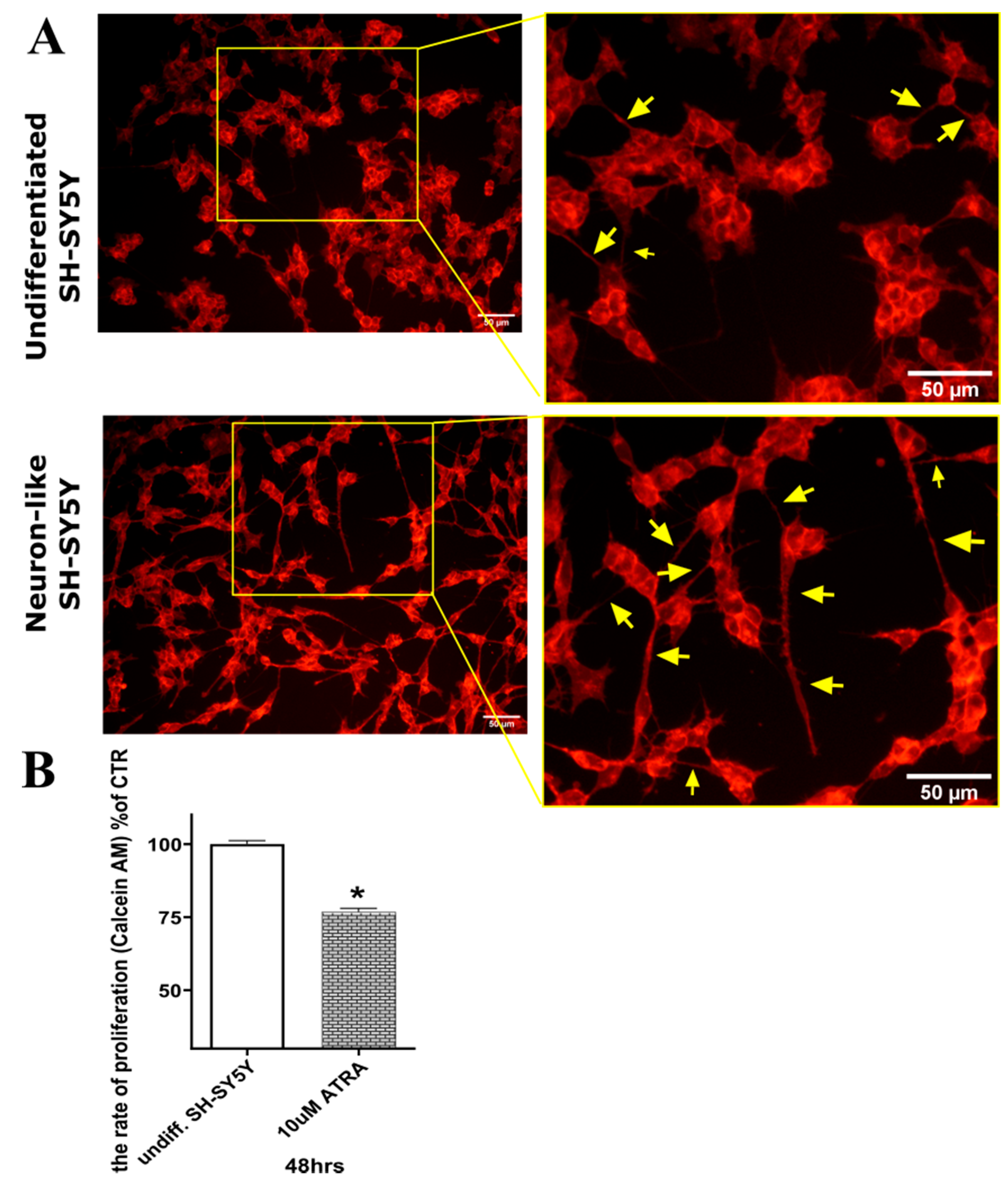 Molecules 26 00361 g001