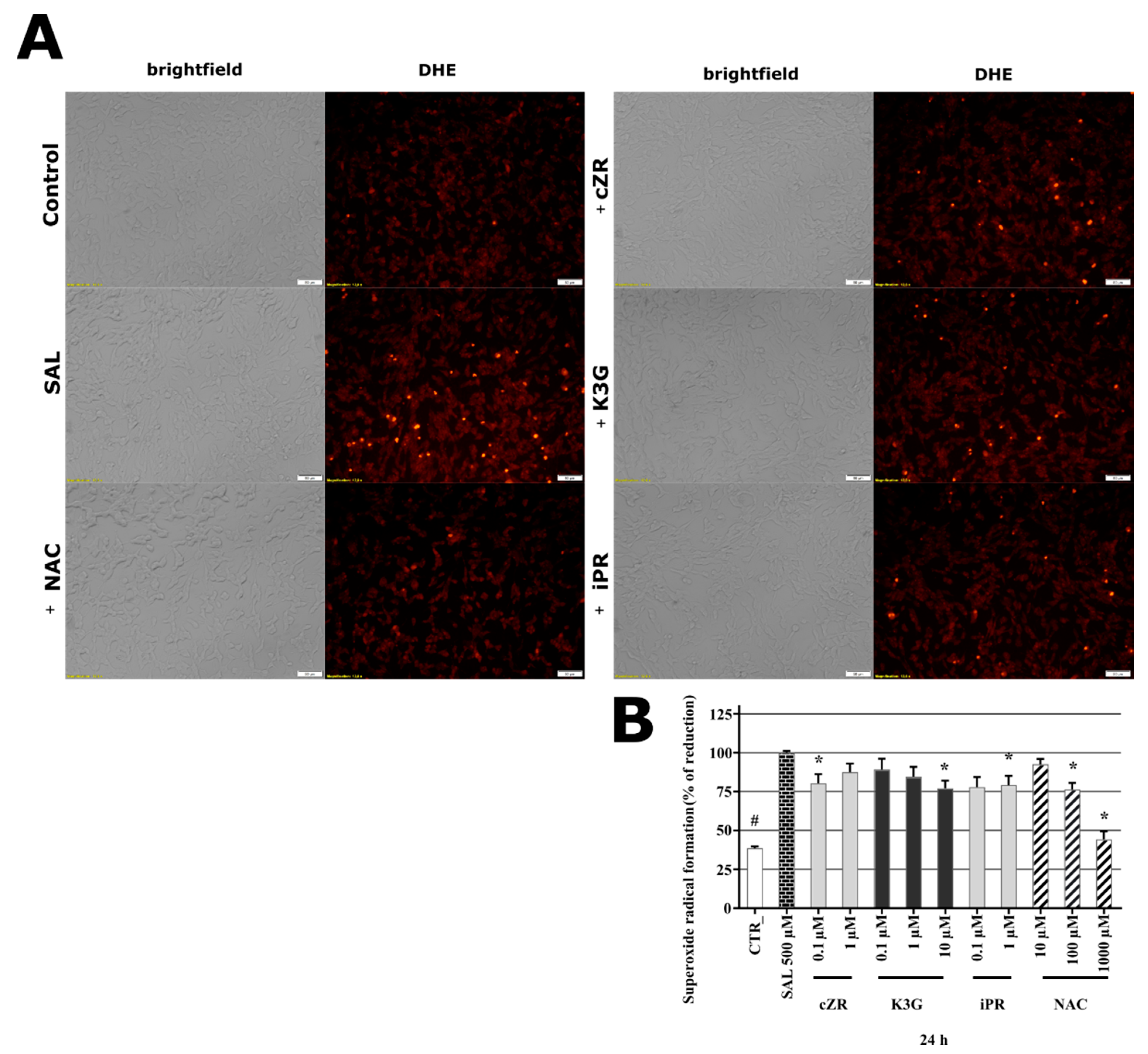 Molecules 26 00361 g003