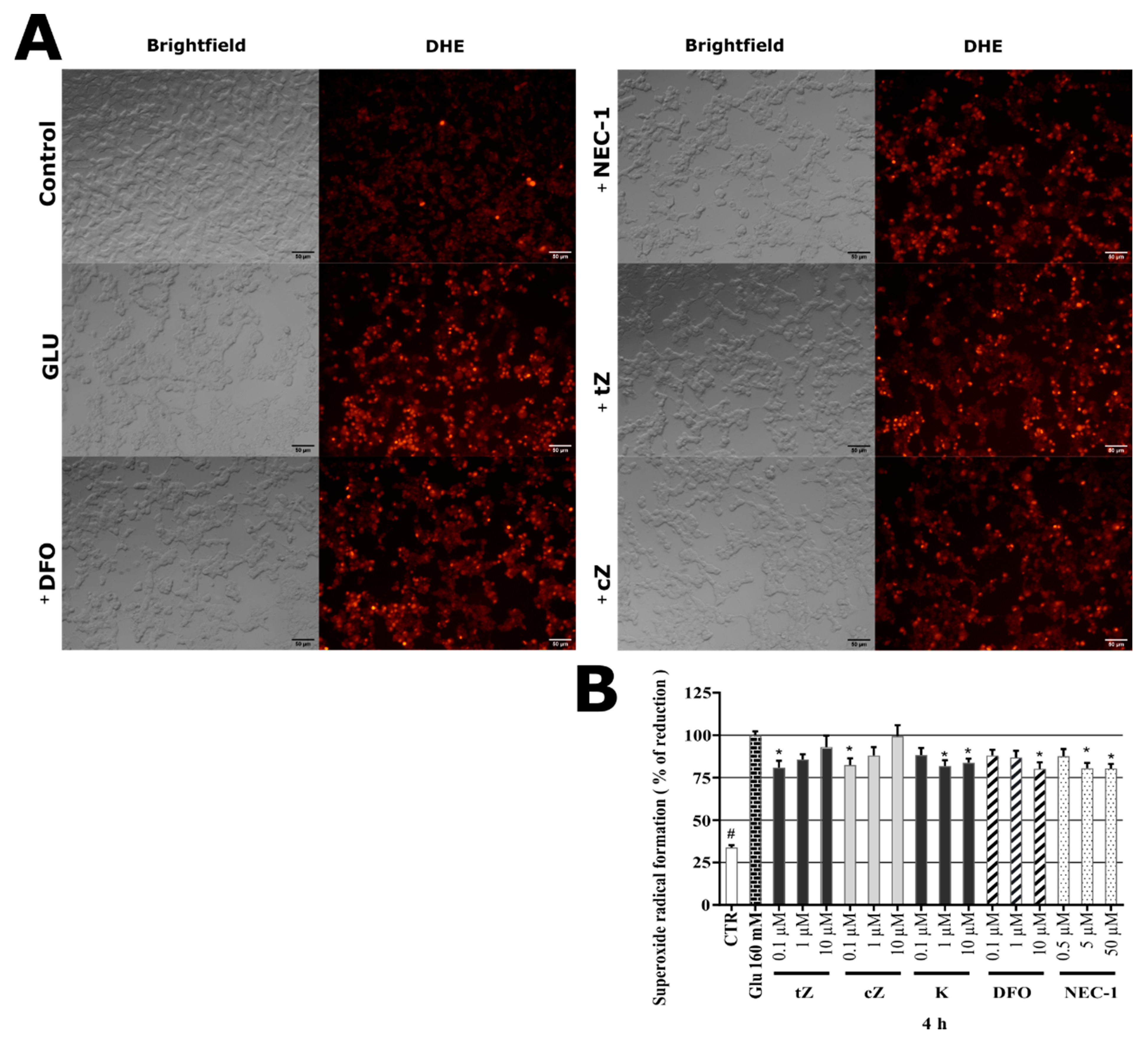 Molecules 26 00361 g006