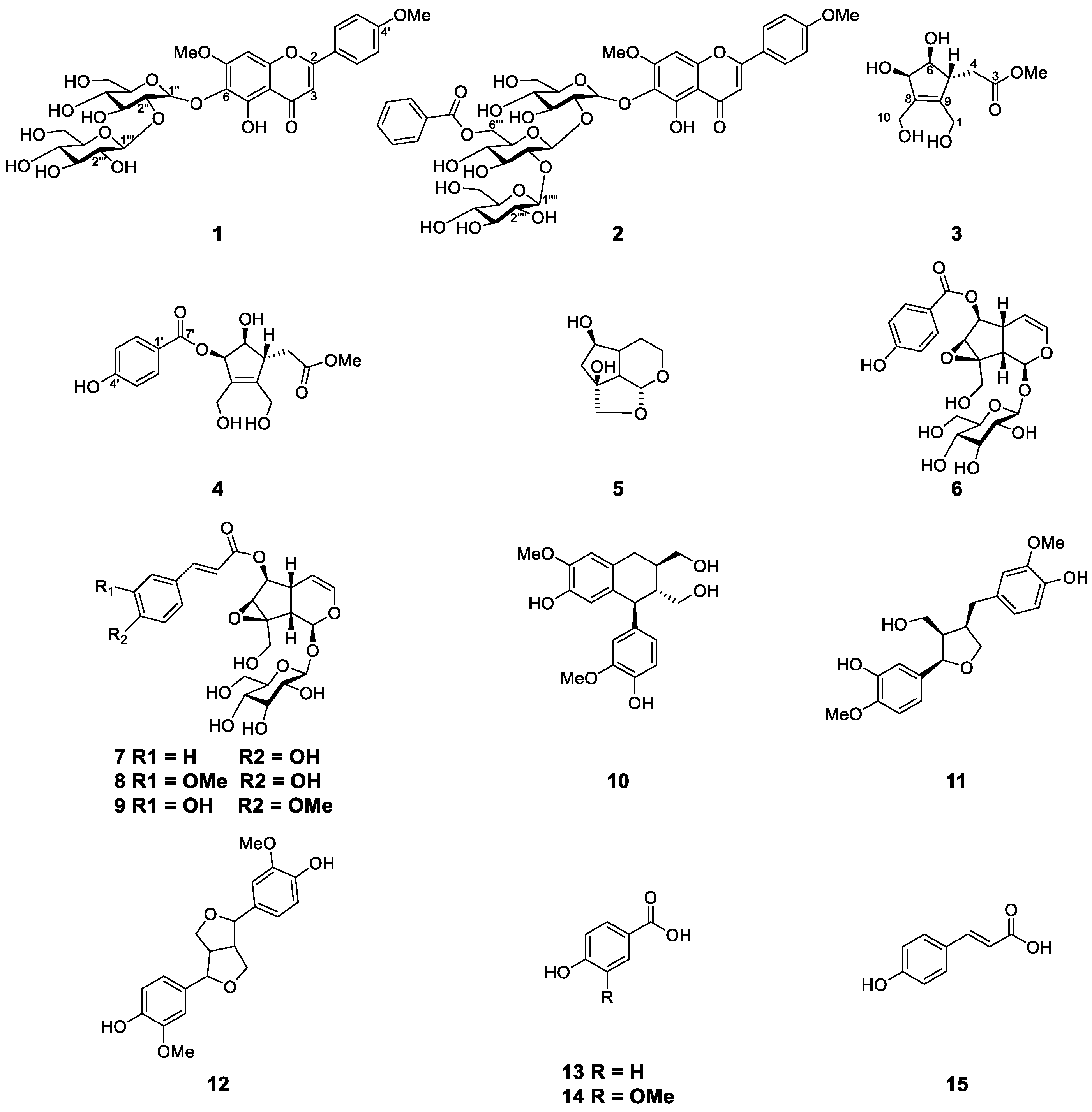Molecules 26 00362 g001