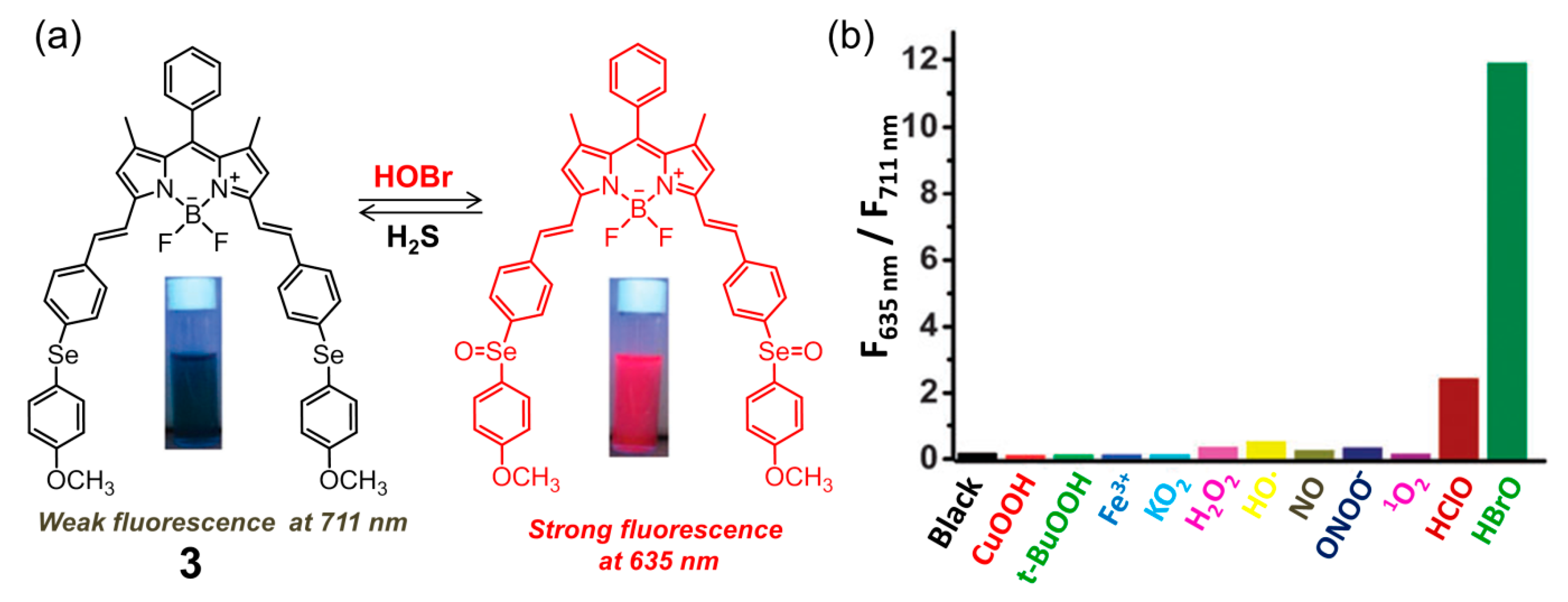 Molecules 26 00363 g004 Molecules 26 00363 g004