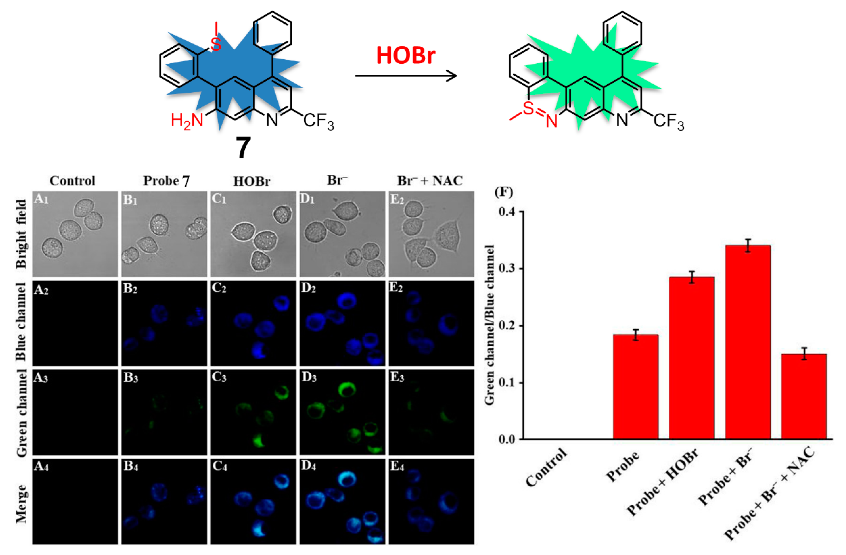 Molecules 26 00363 g008 Molecules 26 00363 g008