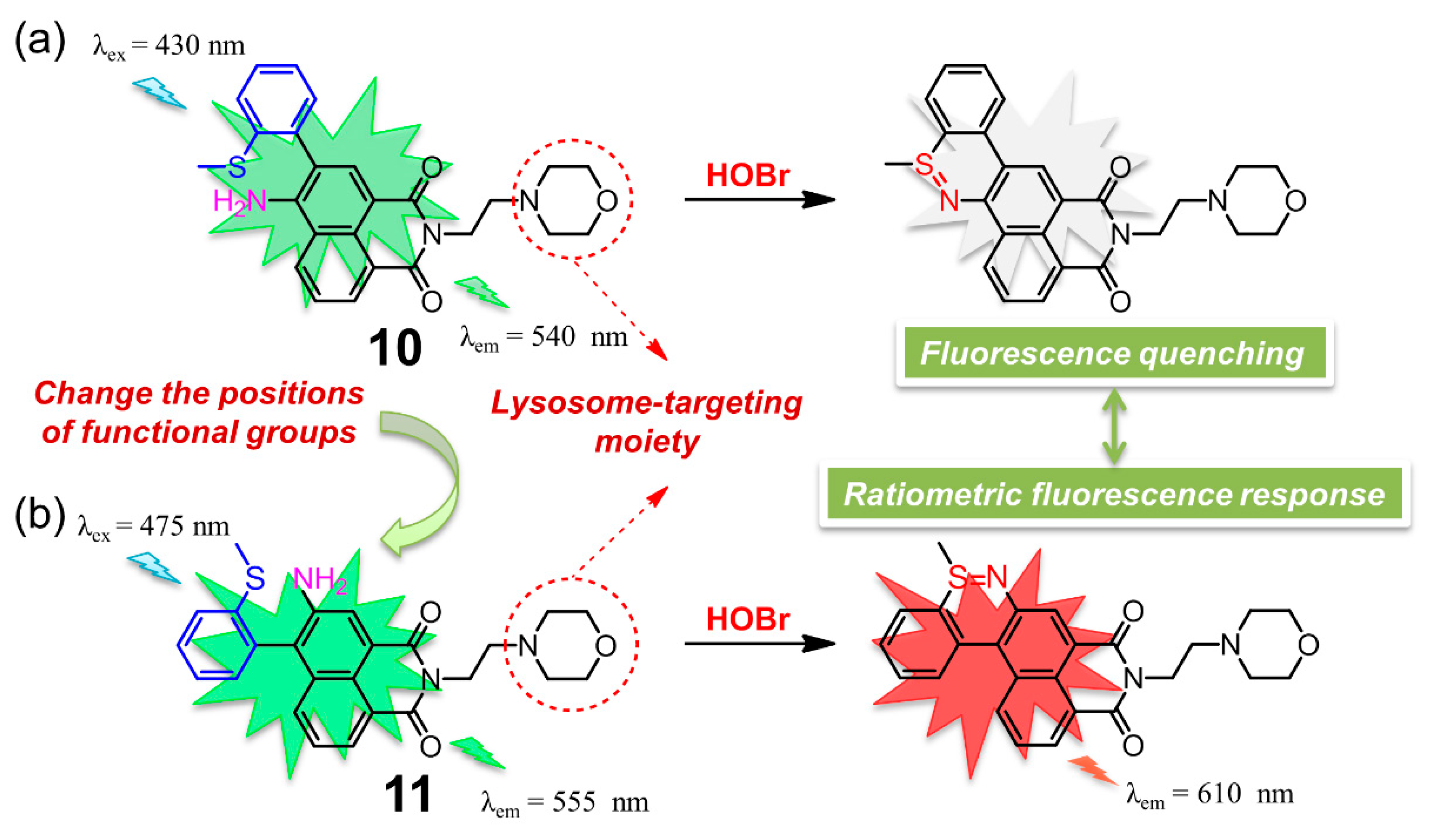 Molecules 26 00363 g011 Molecules 26 00363 g011