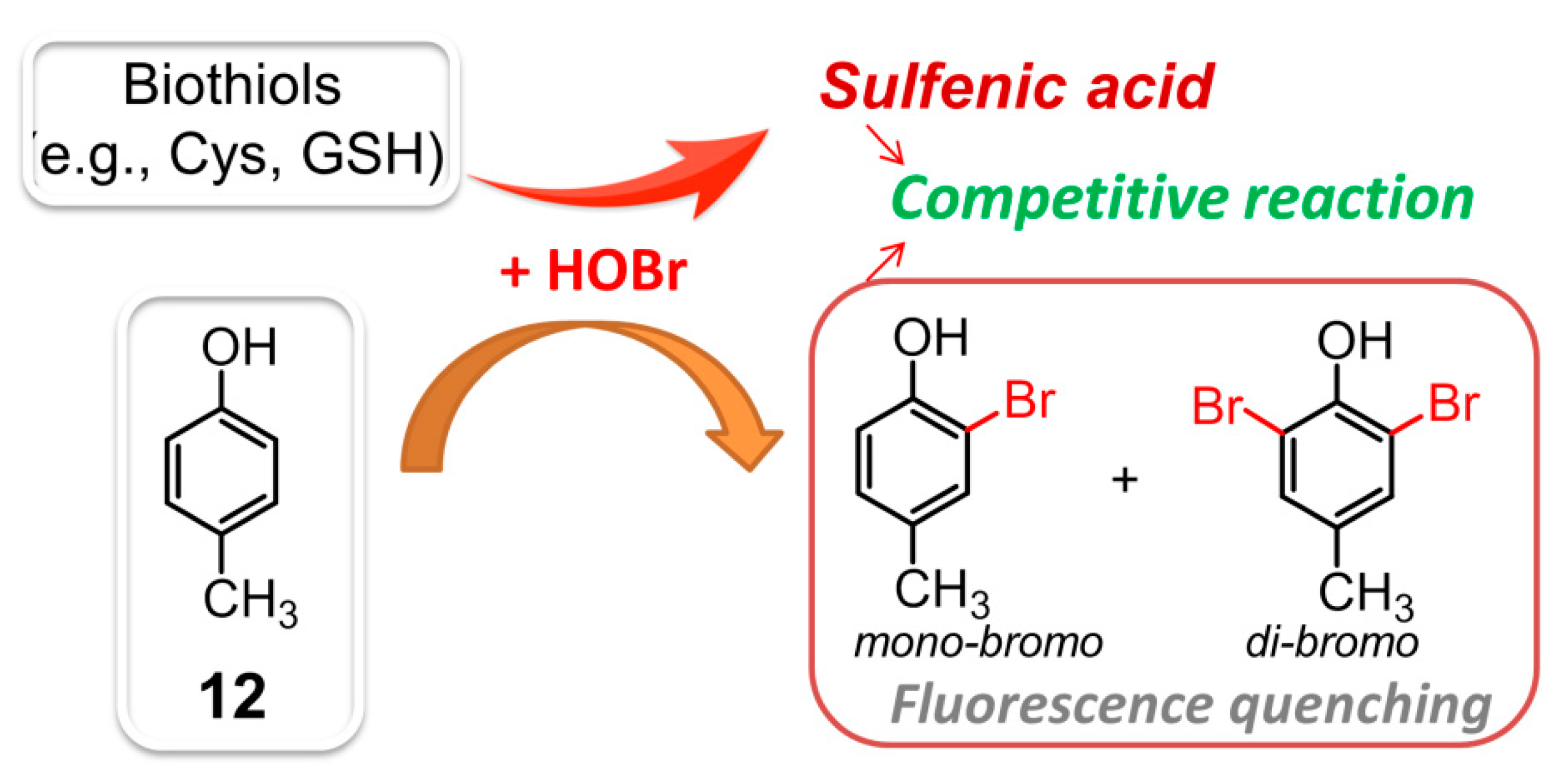 Molecules 26 00363 g012 Molecules 26 00363 g012
