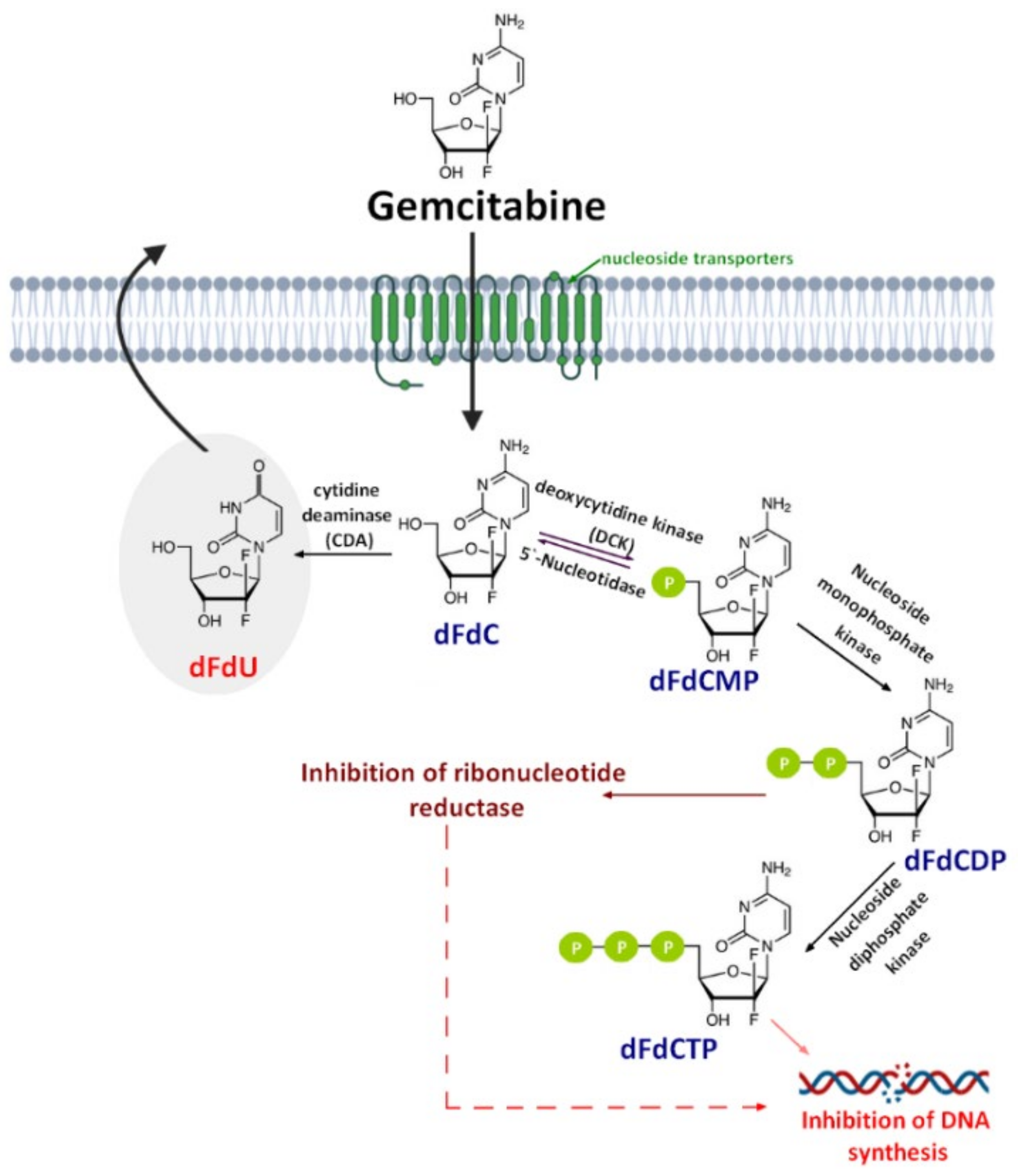 Molecules 26 00364 g001