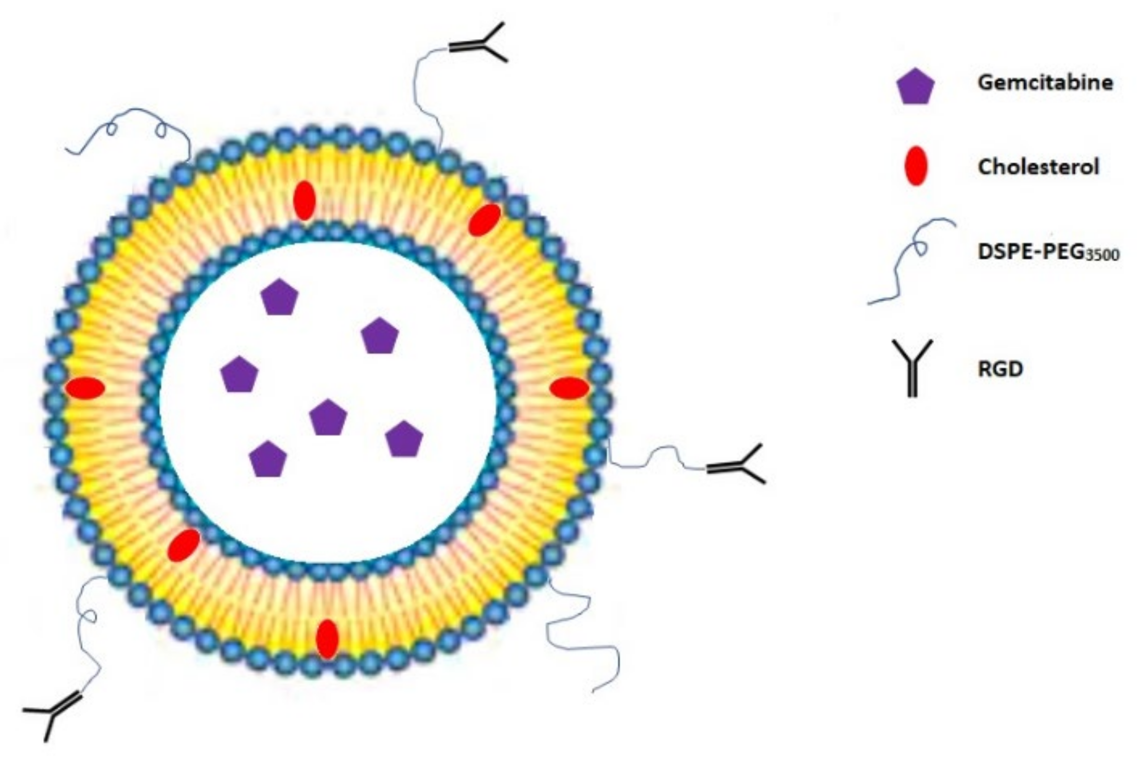 Molecules 26 00364 g004