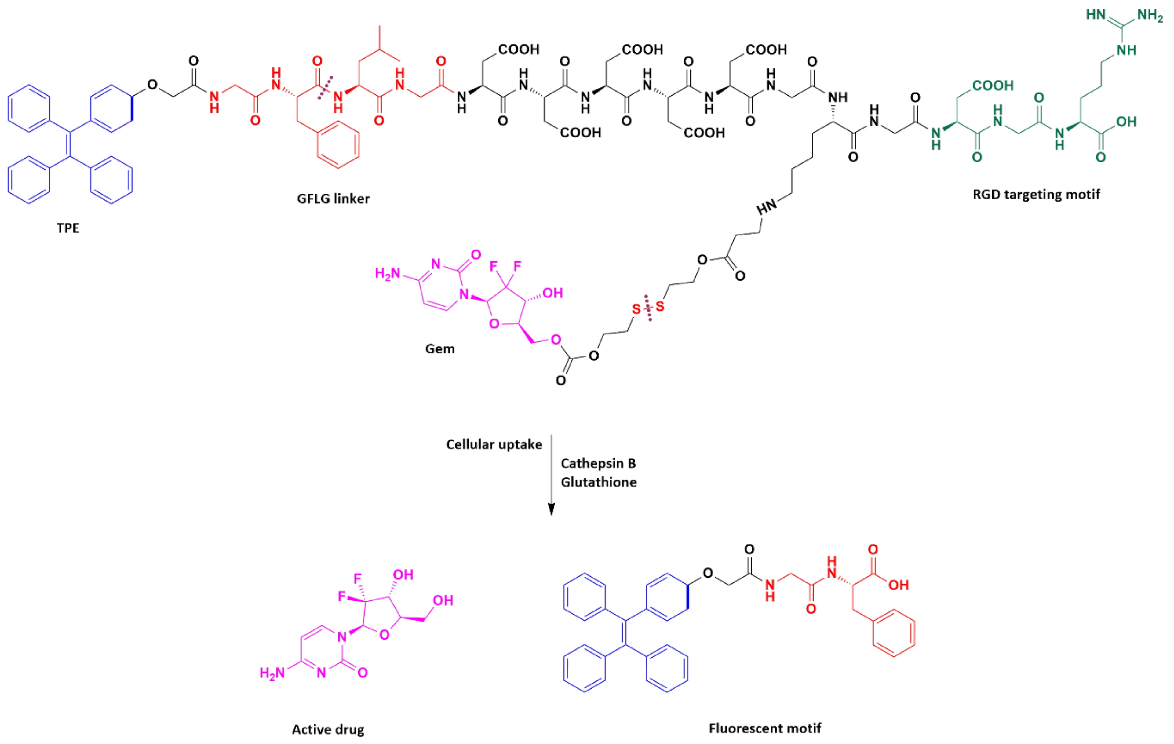Molecules 26 00364 g005