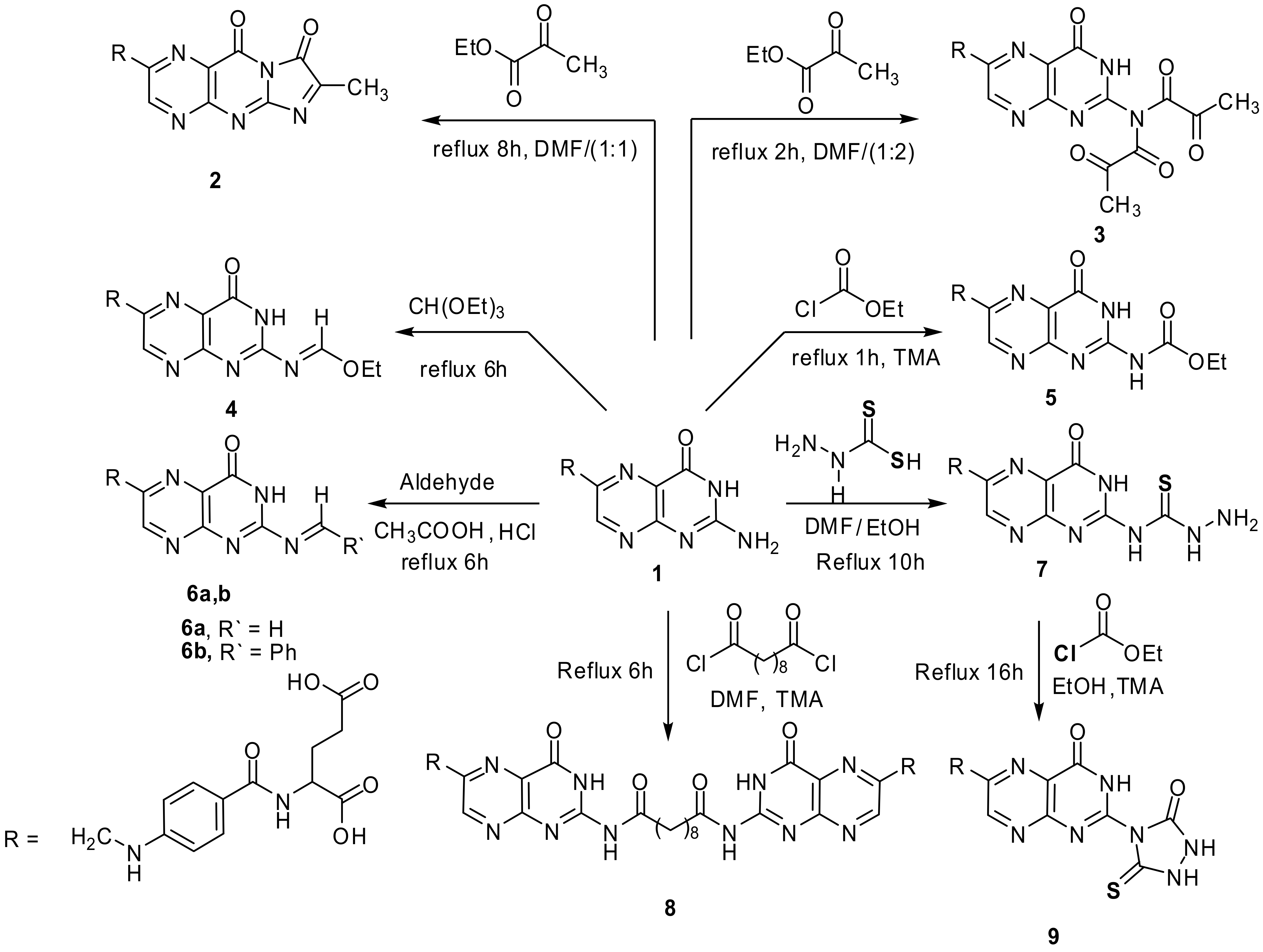 Molecules 26 00368 sch001