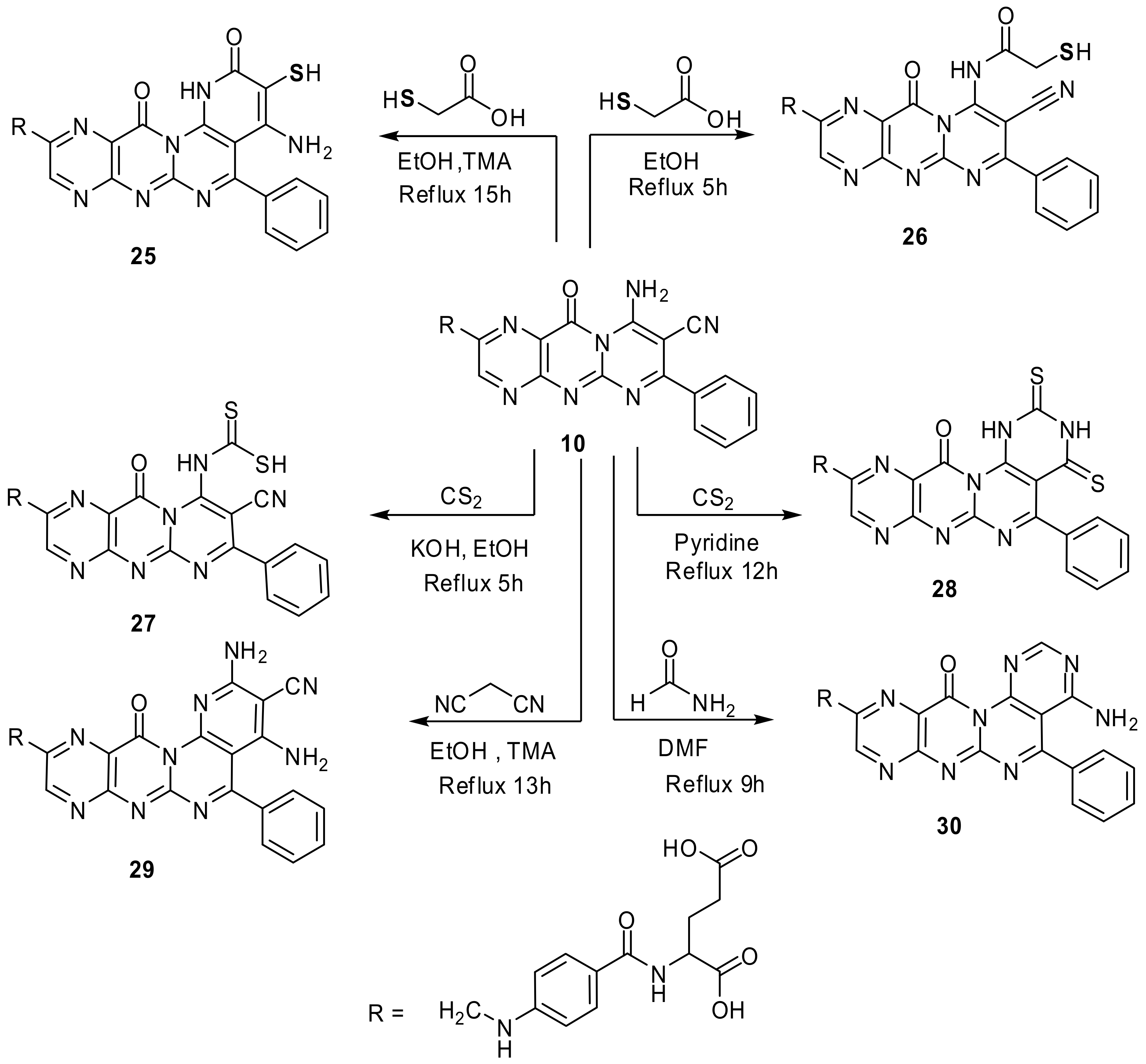 Molecules 26 00368 sch005