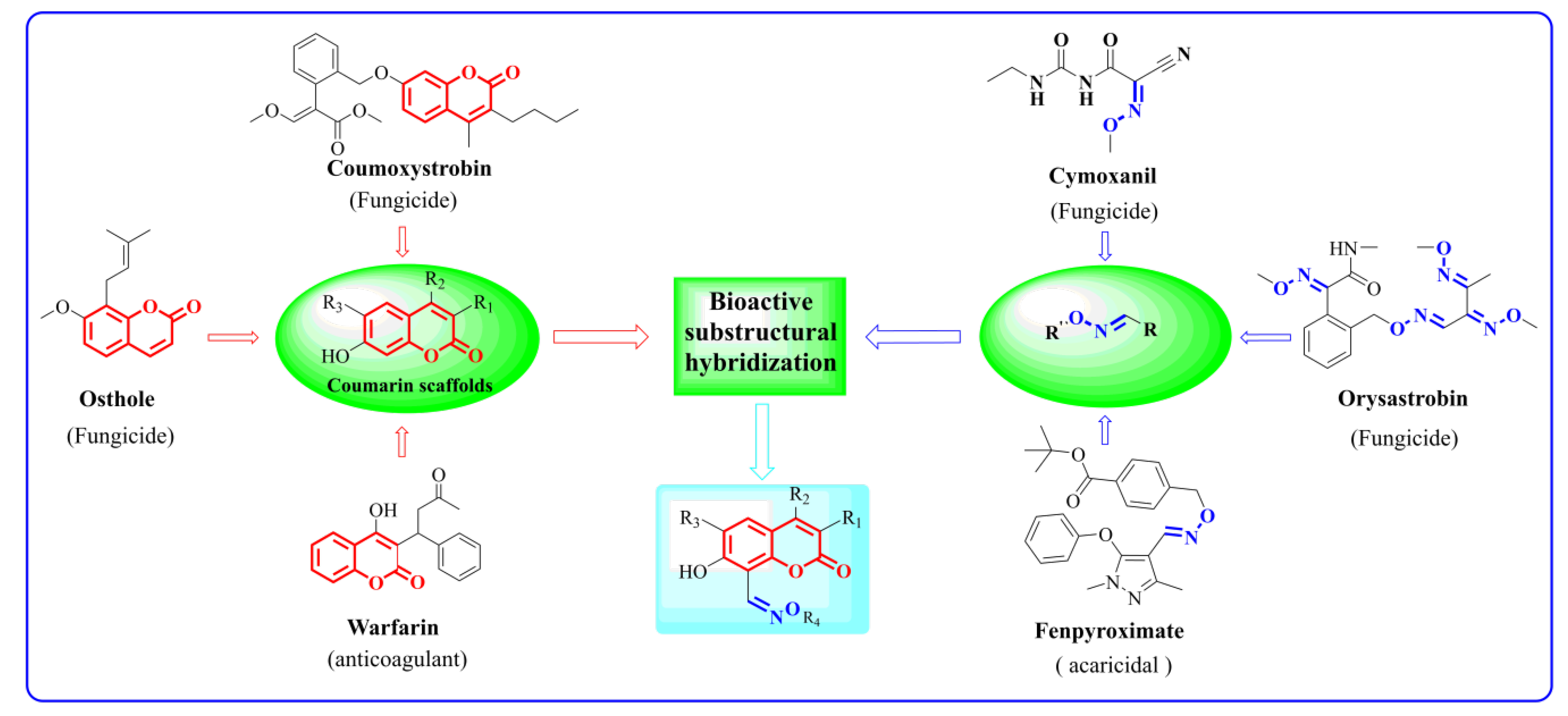 Molecules 26 00372 g001