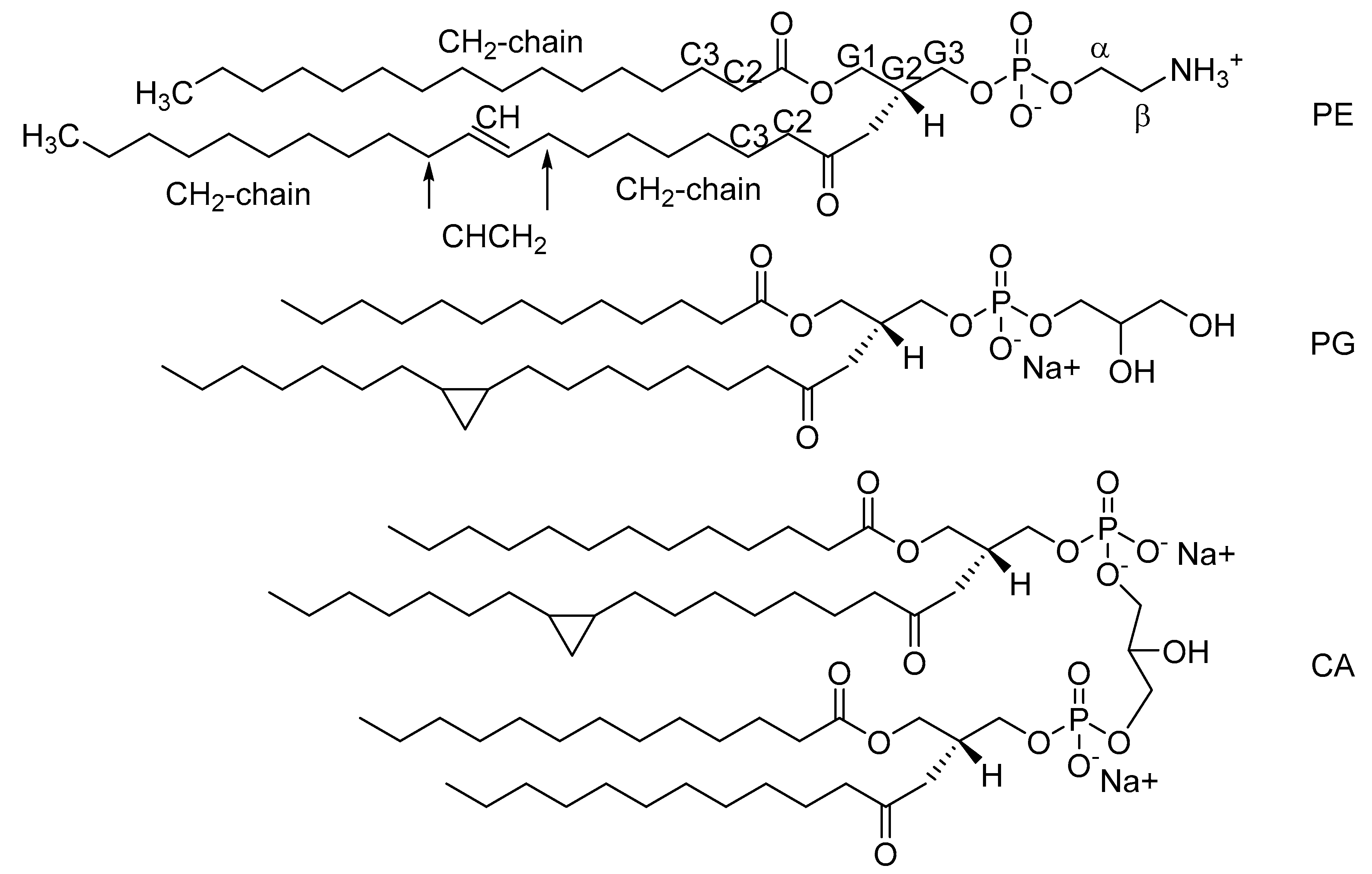 Molecules 26 00373 g005