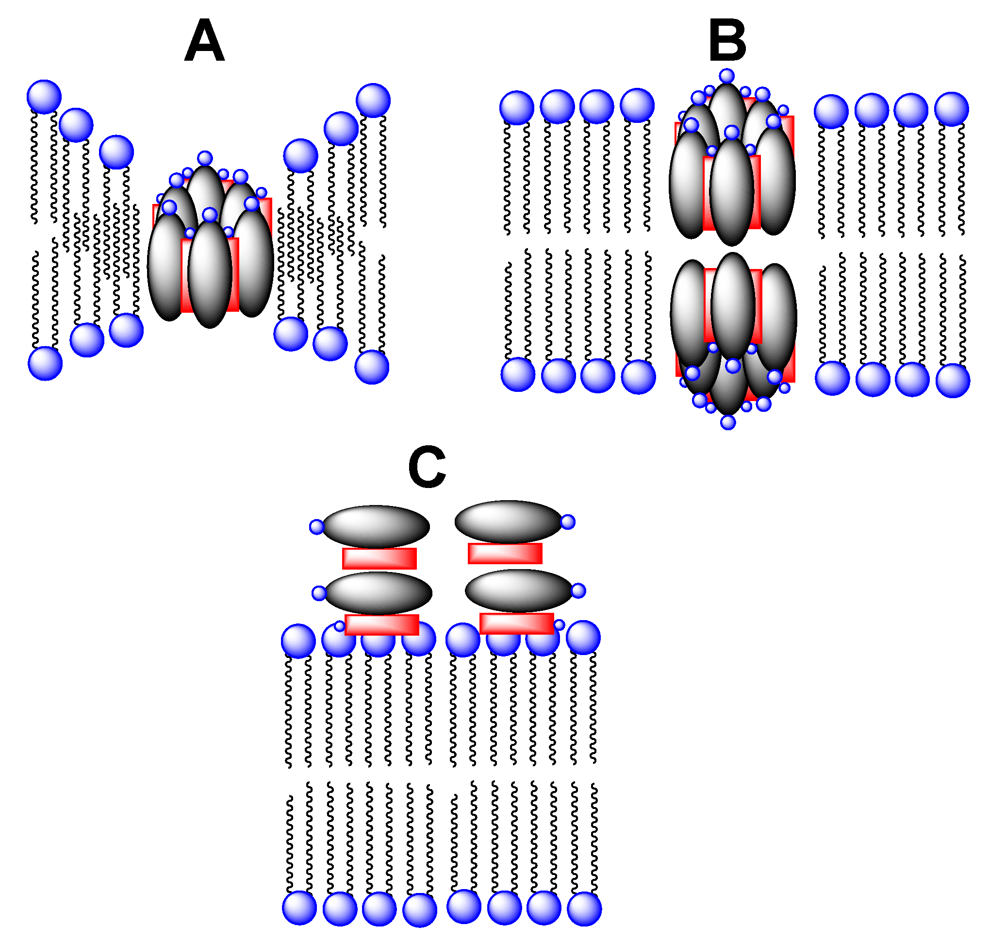 Molecules 26 00374 g002 Molecules 26 00374 g002
