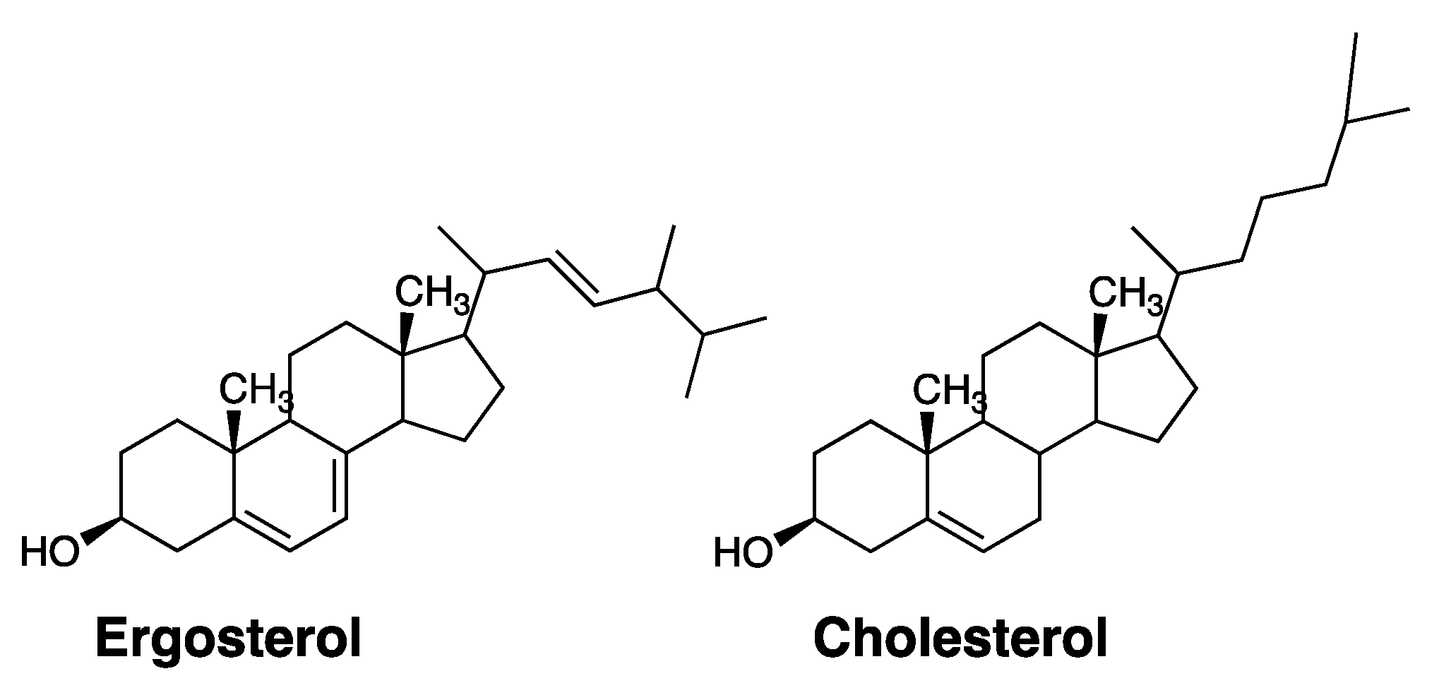 Molecules 26 00374 g003 Molecules 26 00374 g003