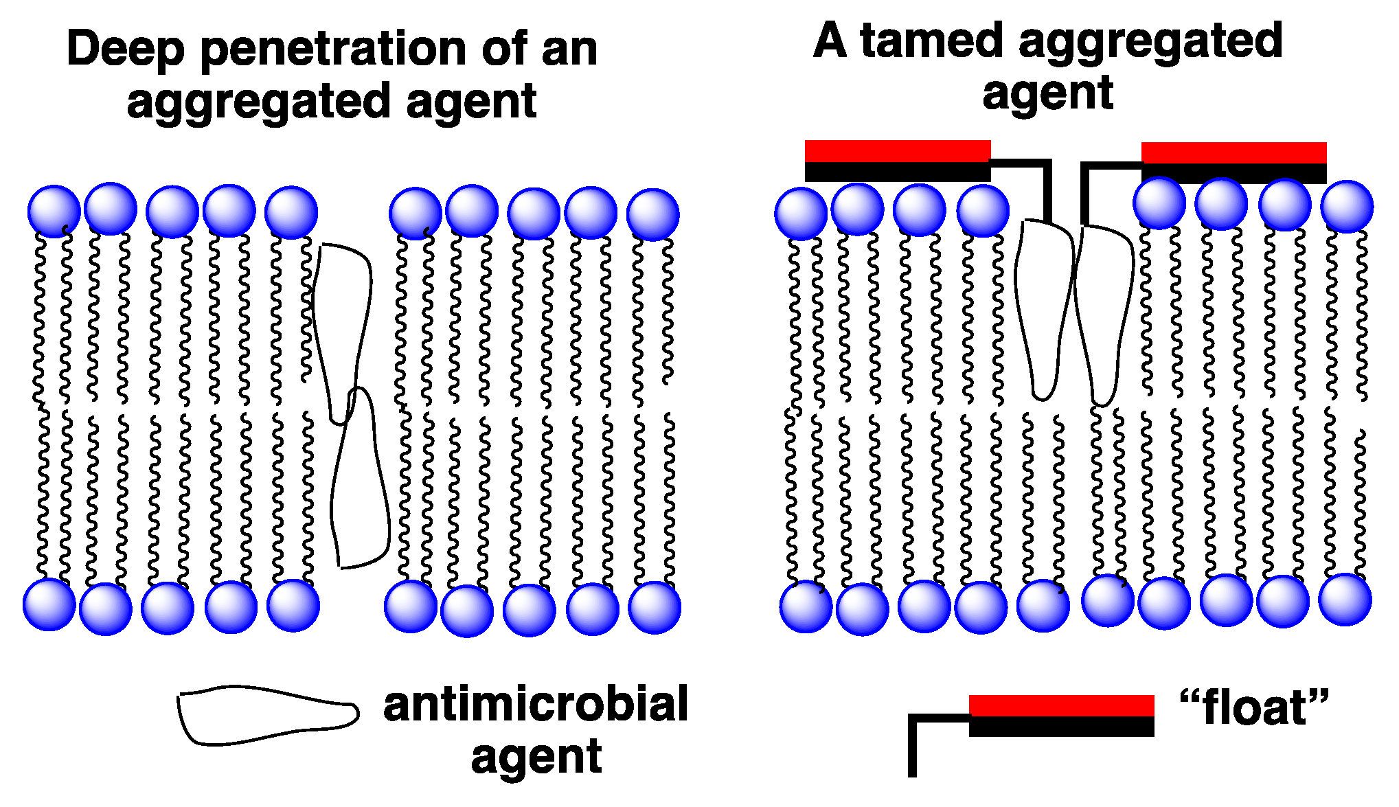 Molecules 26 00374 g007 Molecules 26 00374 g007