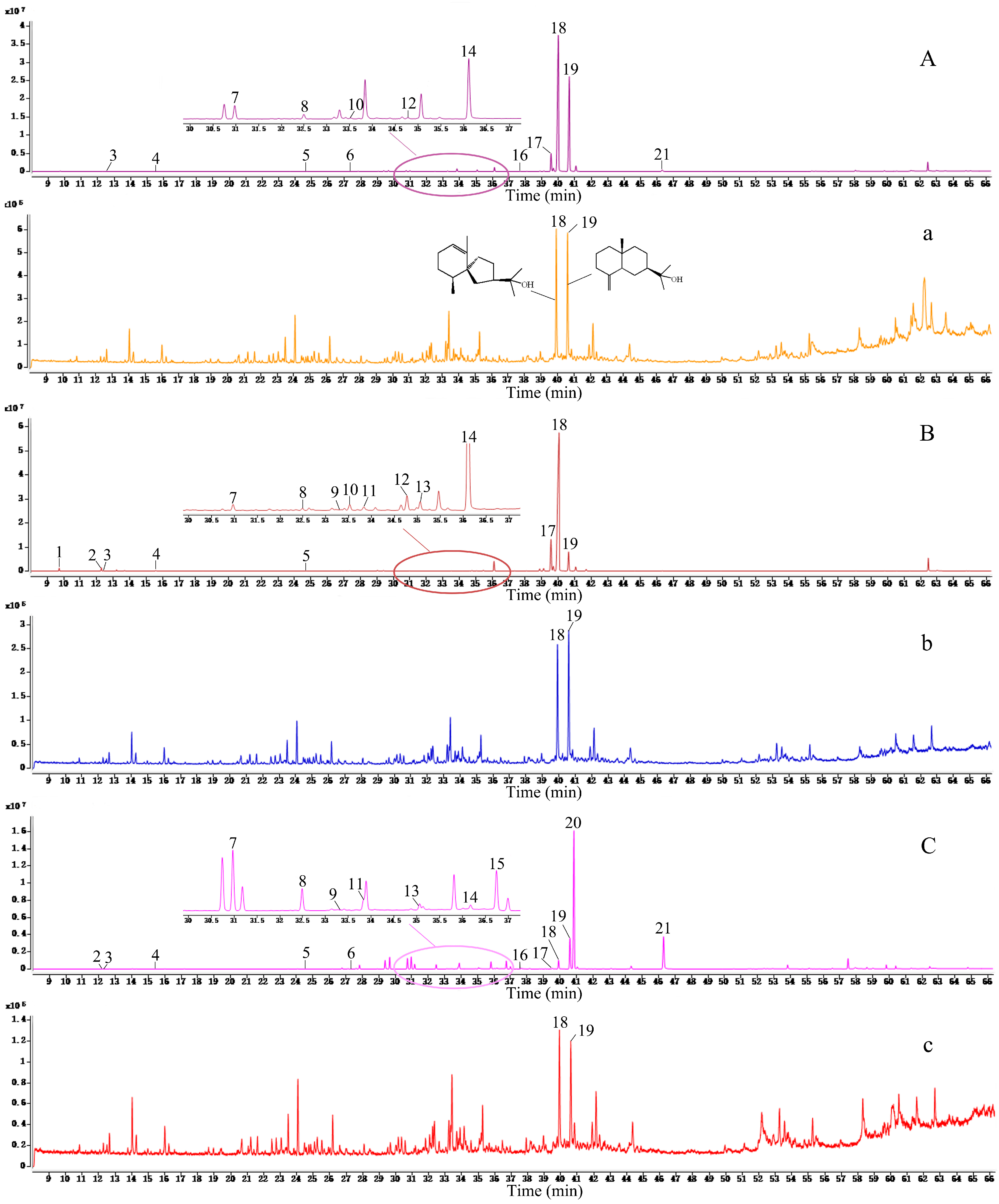Molecules 26 00379 g007 Molecules 26 00379 g007
