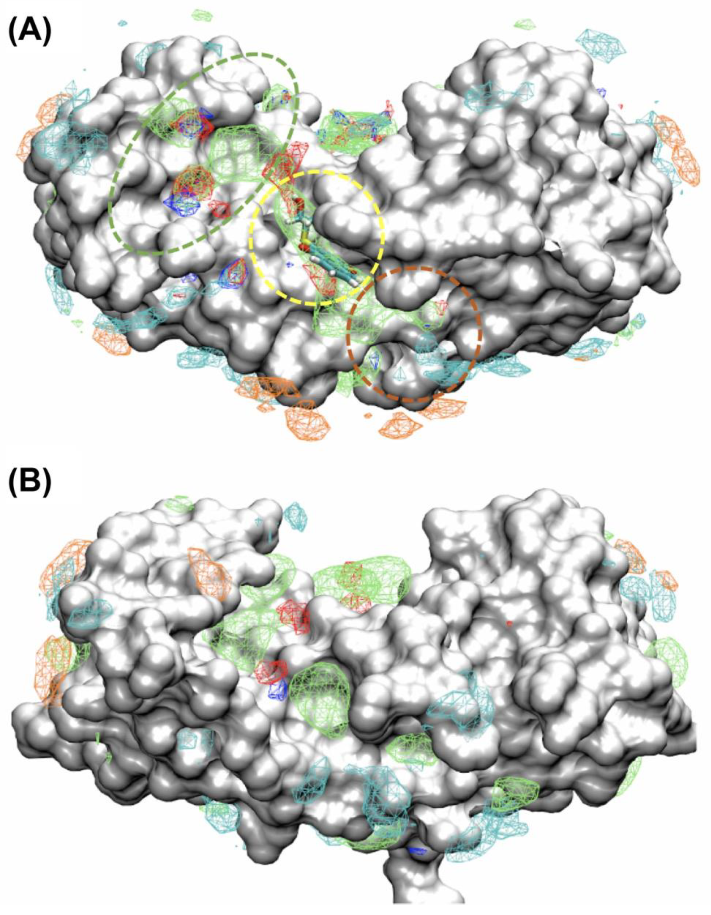 Molecules 26 00381 g006