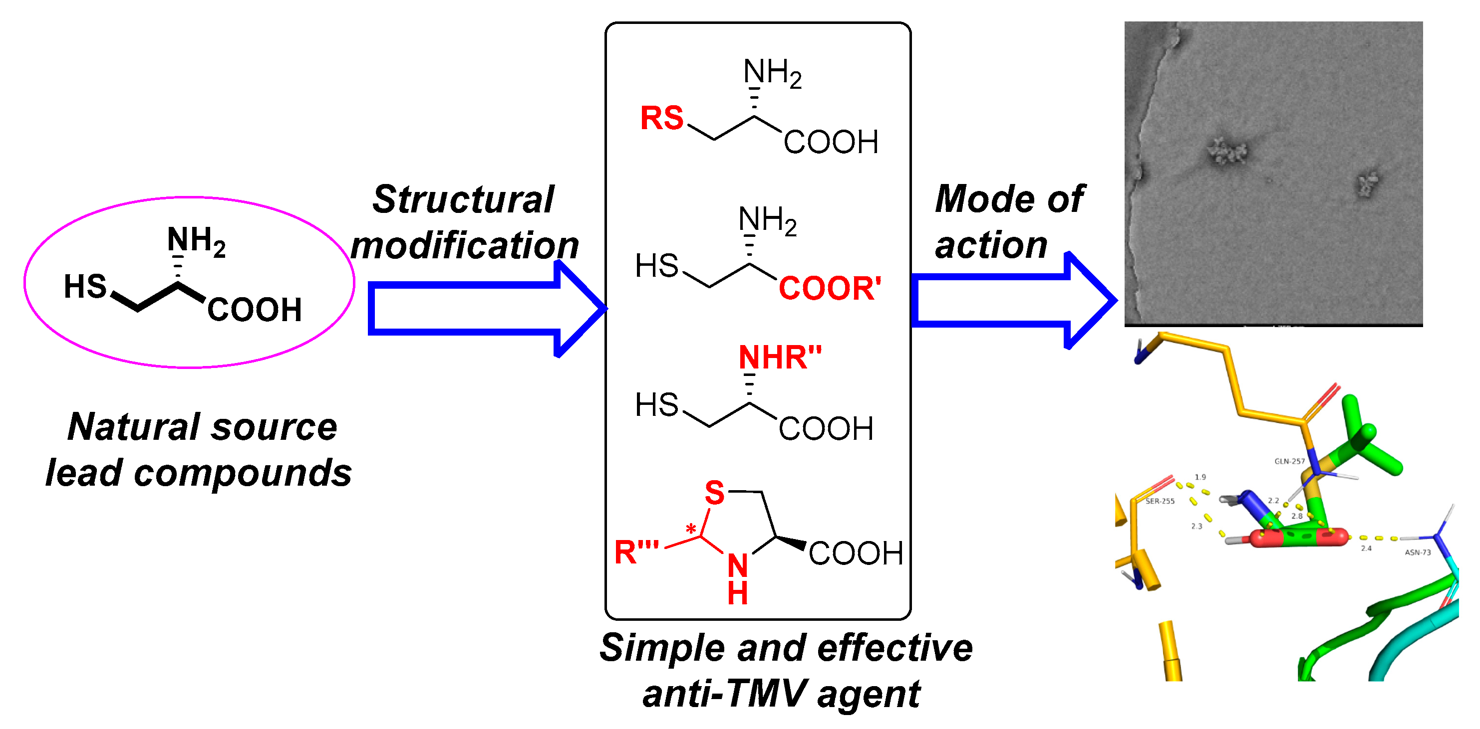 Molecules 26 00383 g001 Molecules 26 00383 g001
