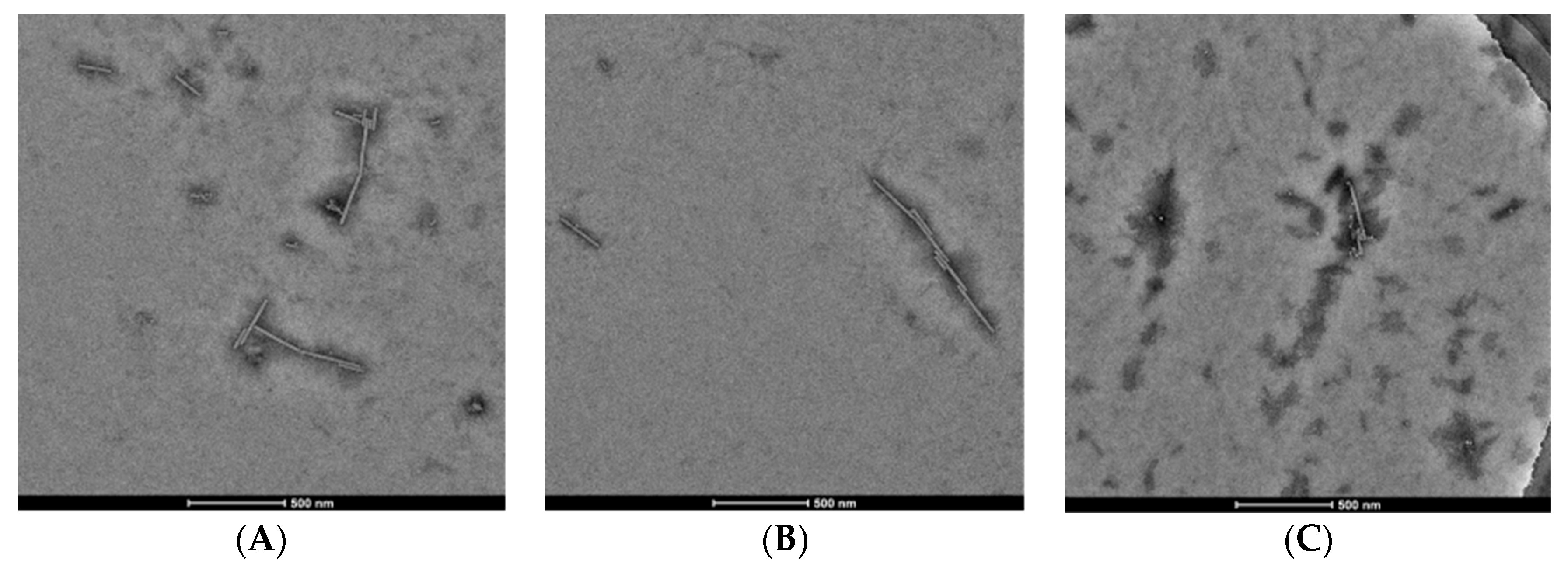 Molecules 26 00383 g003 Molecules 26 00383 g003