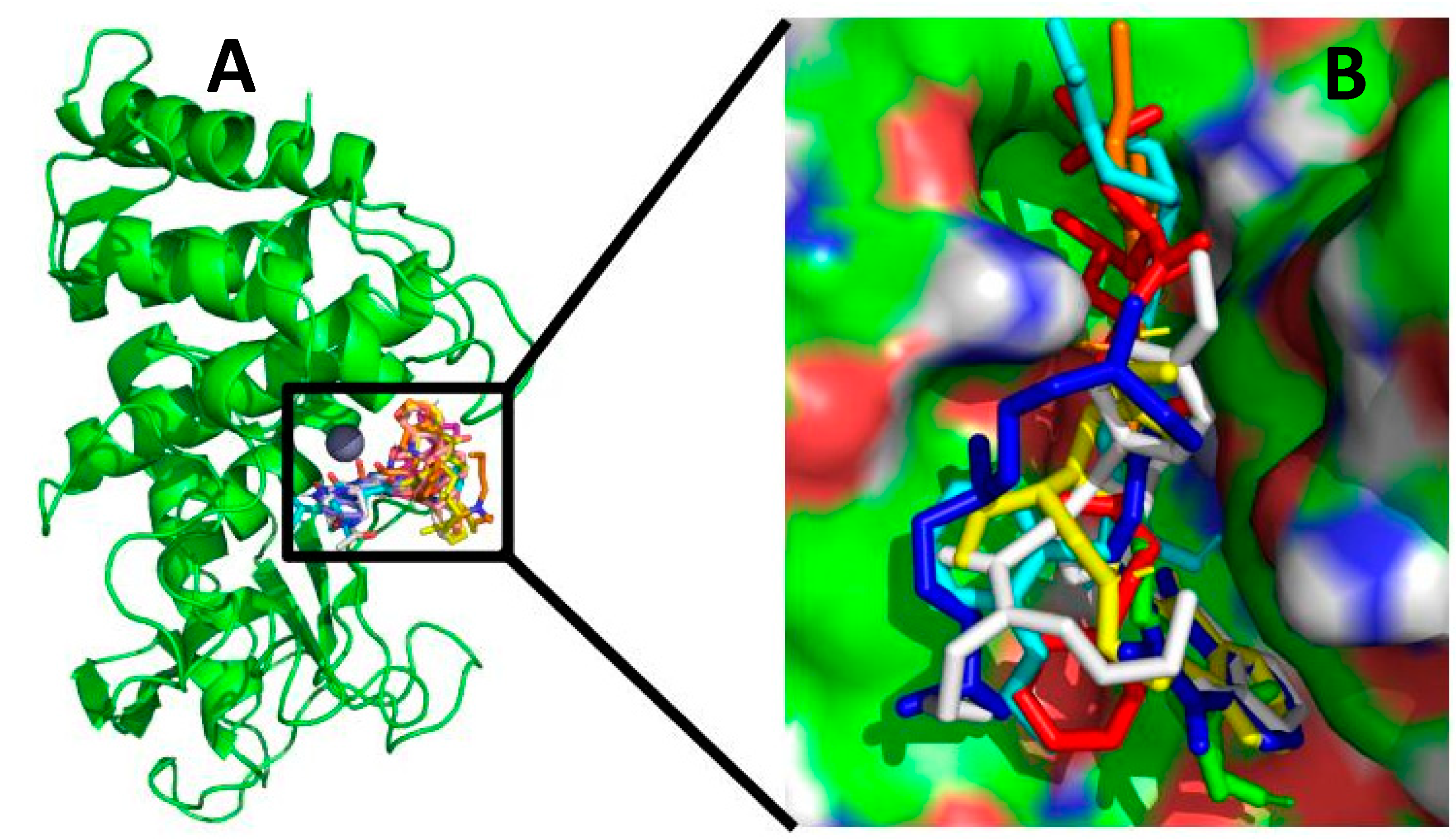 Molecules 26 00386 g002 Molecules 26 00386 g002