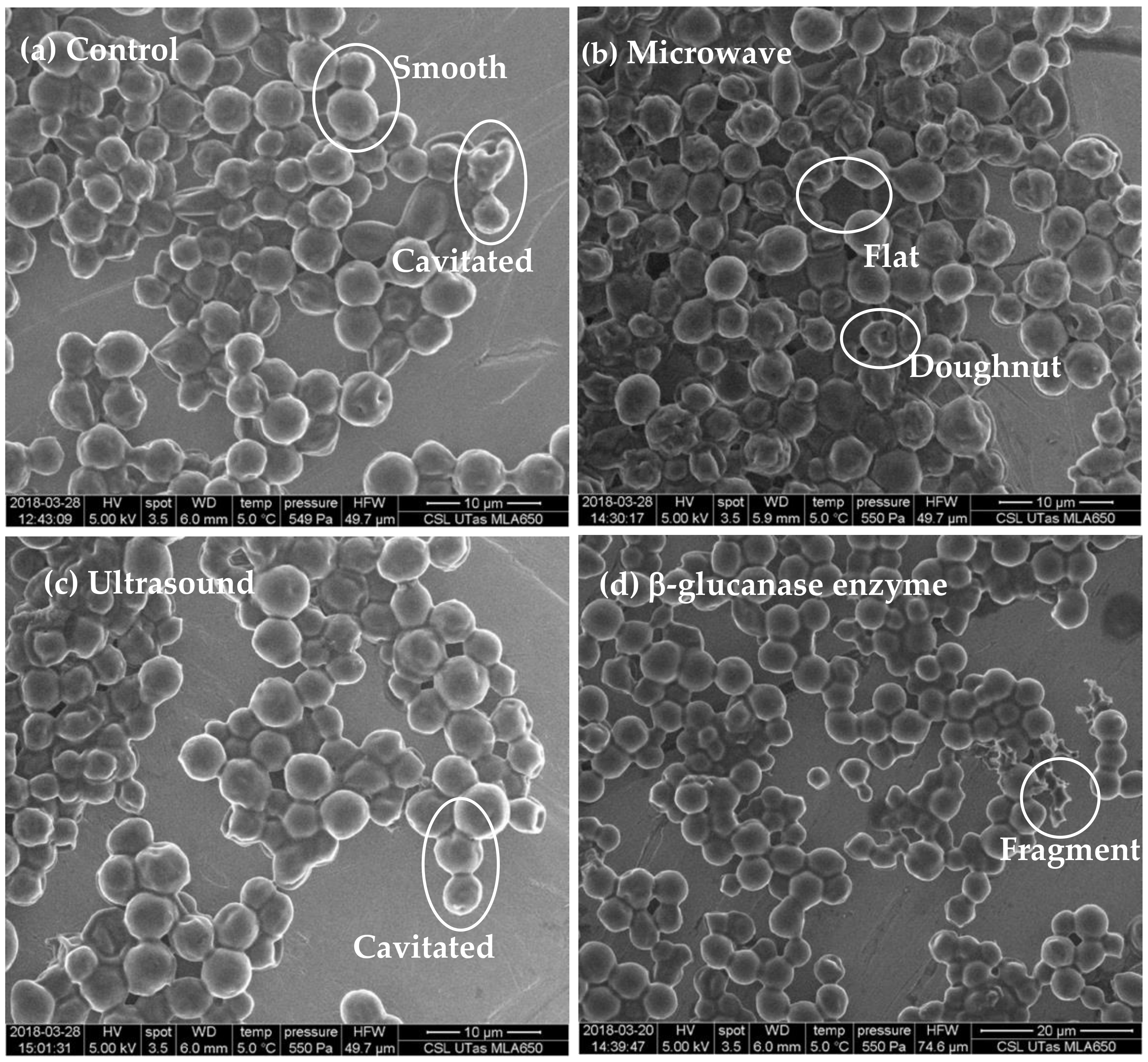 Molecules 26 00387 g001 Molecules 26 00387 g001