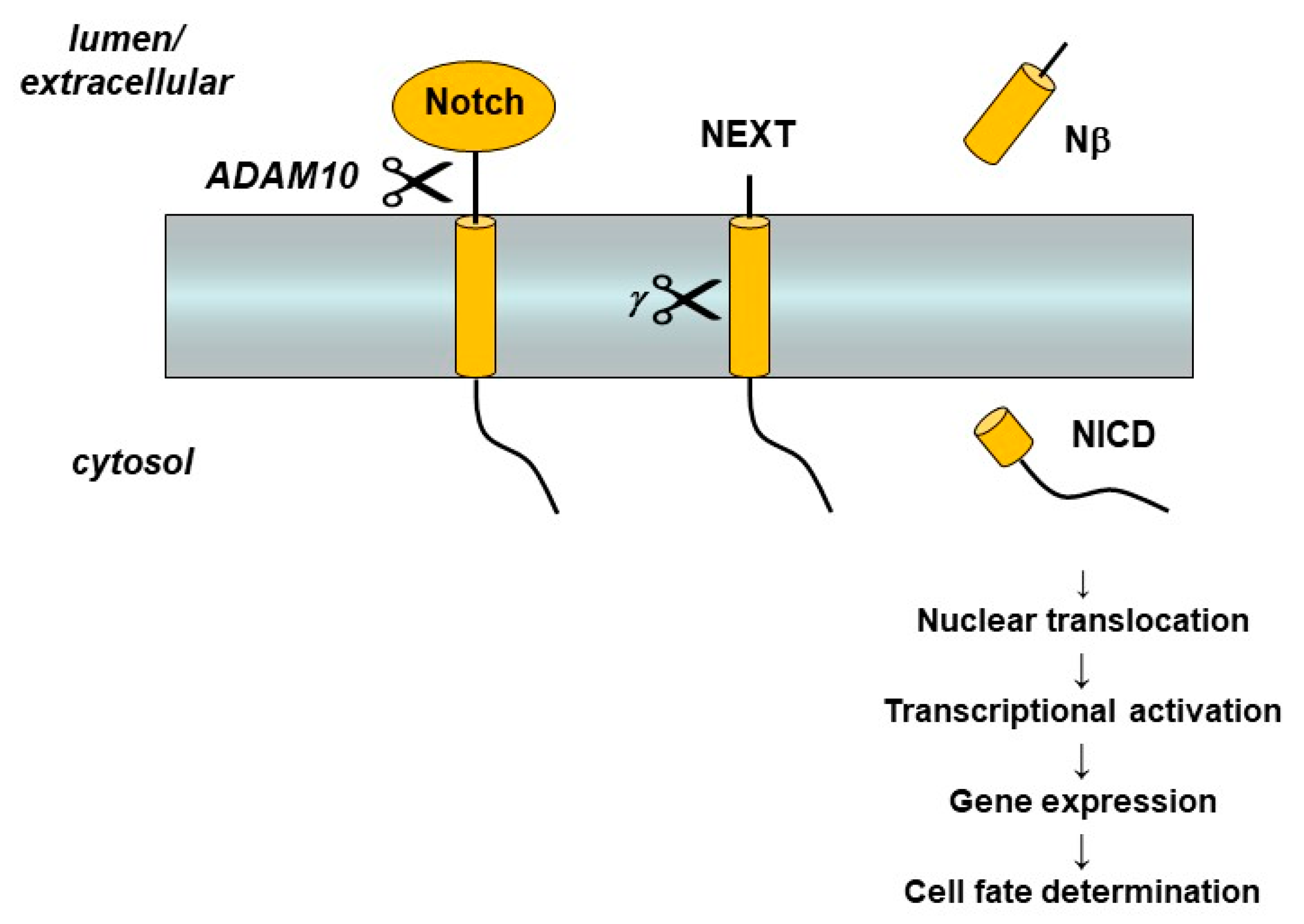 Molecules 26 00388 g004