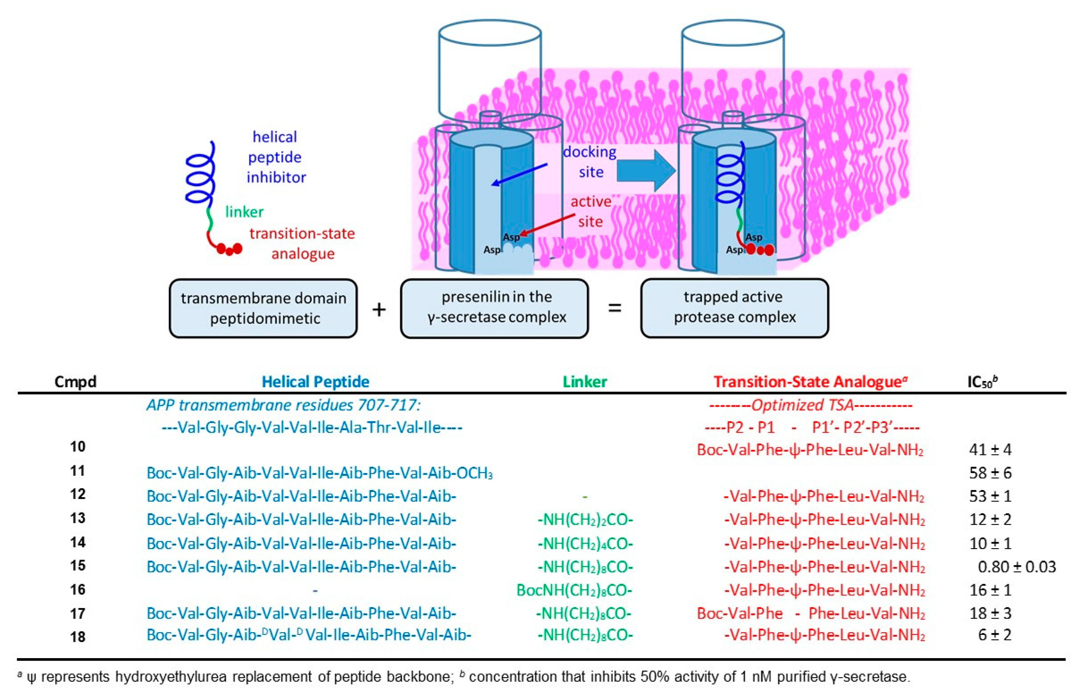 Molecules 26 00388 g007