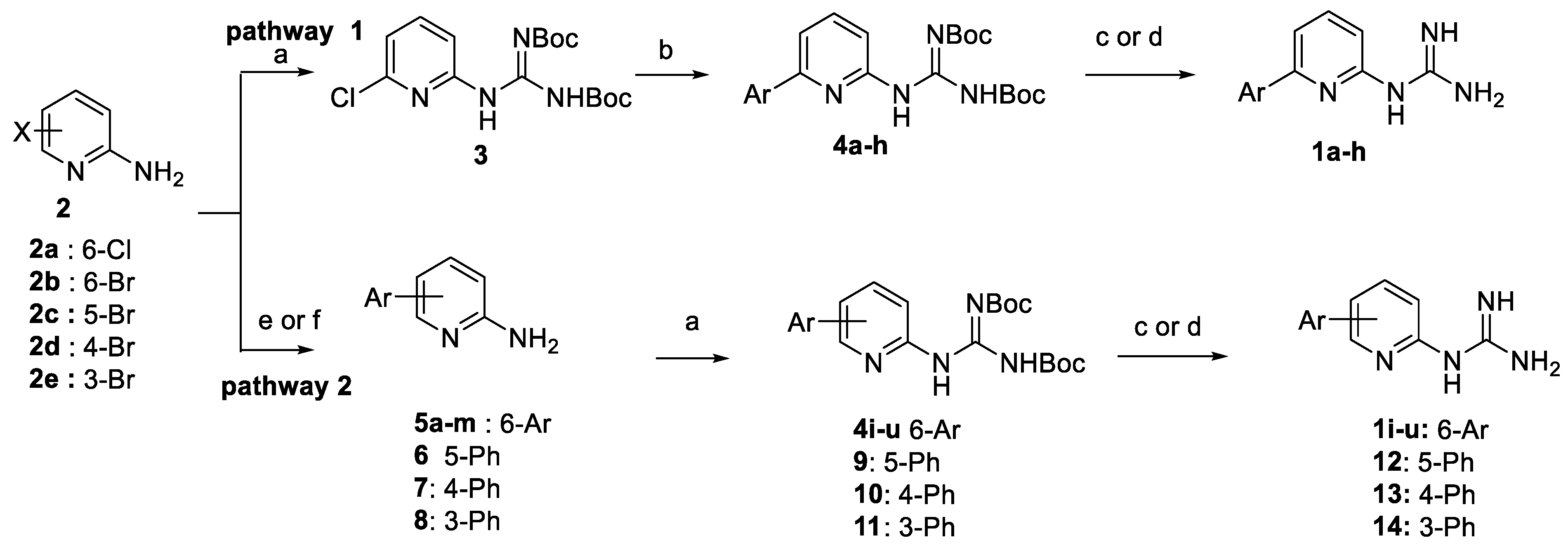Molecules 26 00391 sch001 Molecules 26 00391 sch001