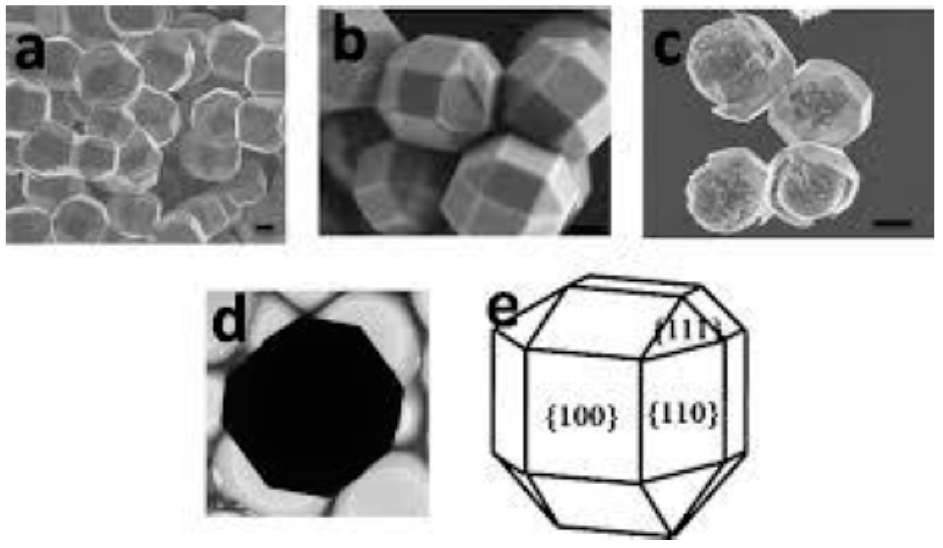 Molecules 26 00392 g002