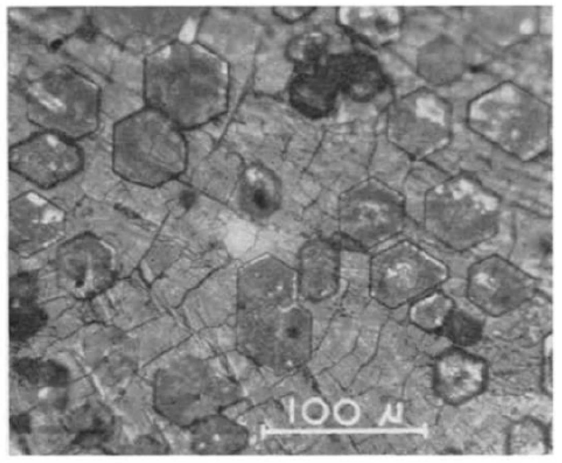 Molecules 26 00392 g003