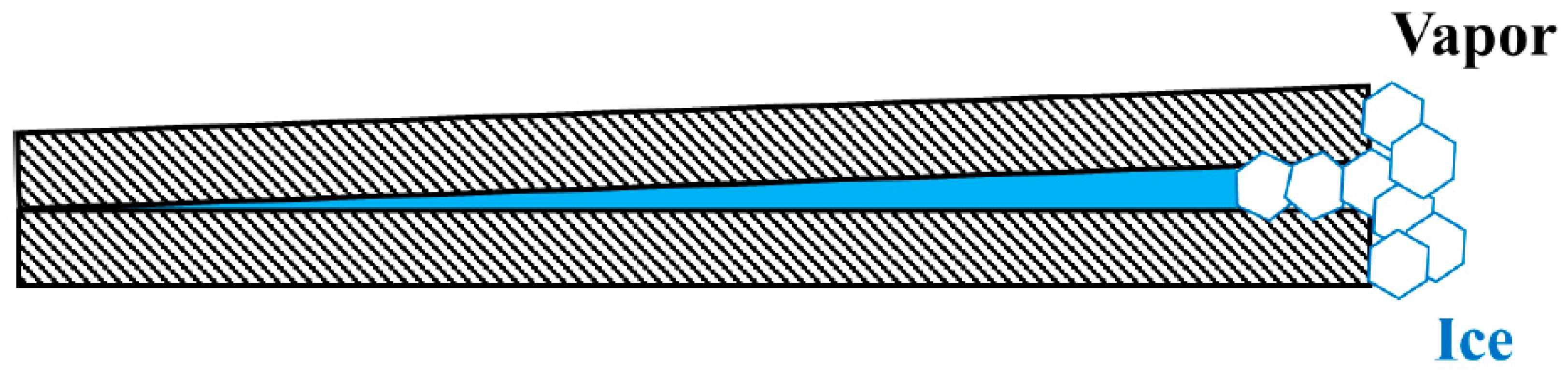 Molecules 26 00392 g004