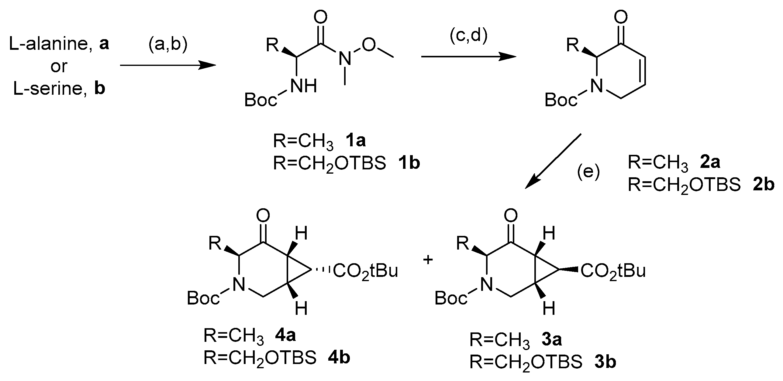 Molecules 26 00394 sch001 Molecules 26 00394 sch001