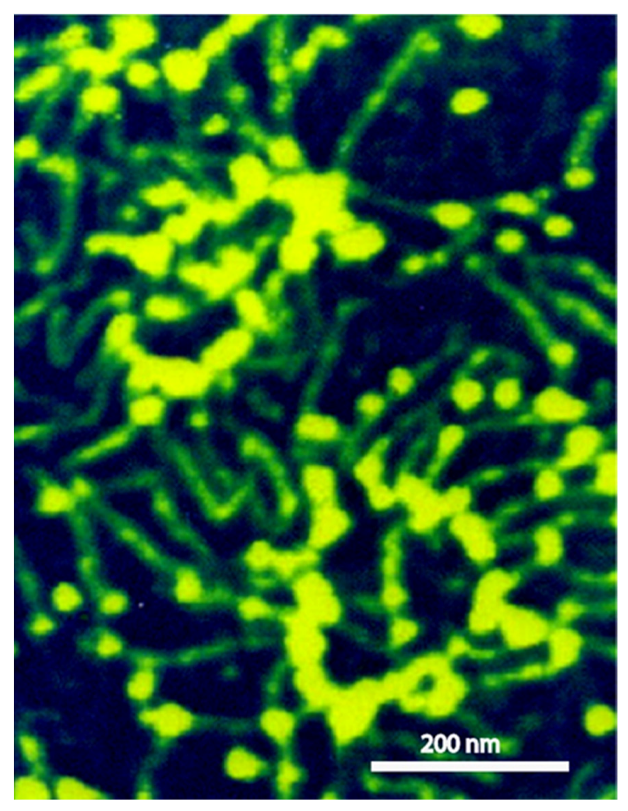 Molecules 26 00397 g003