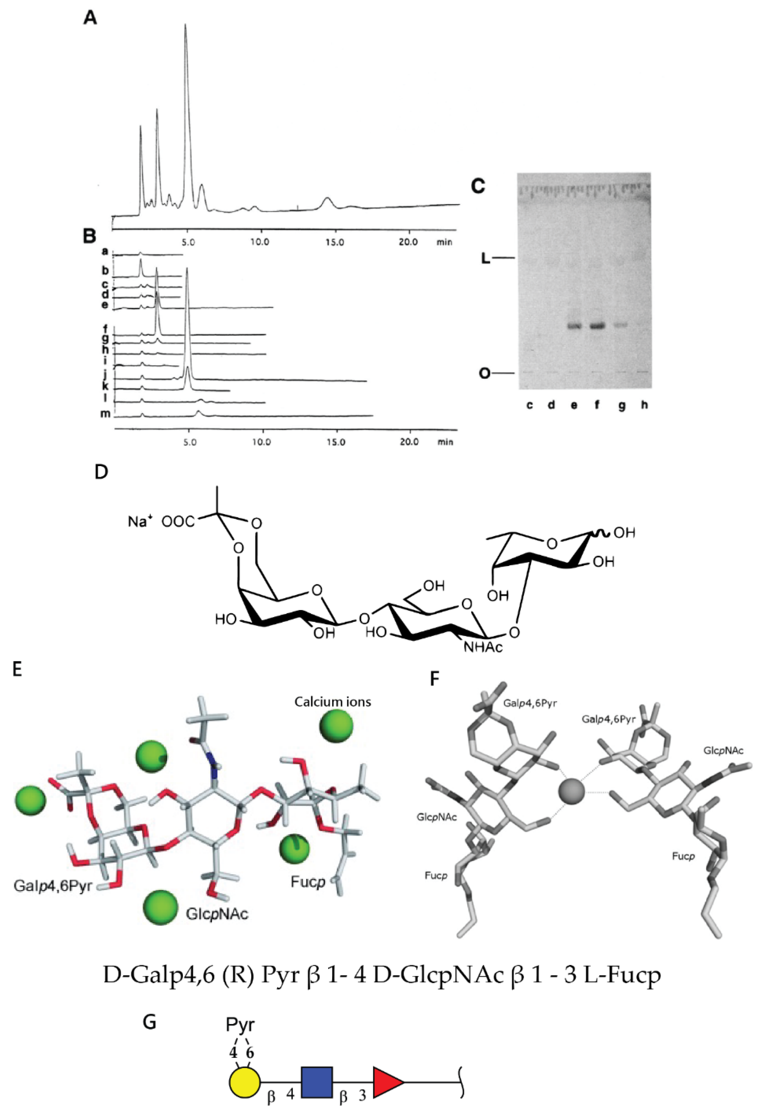 Molecules 26 00397 g004