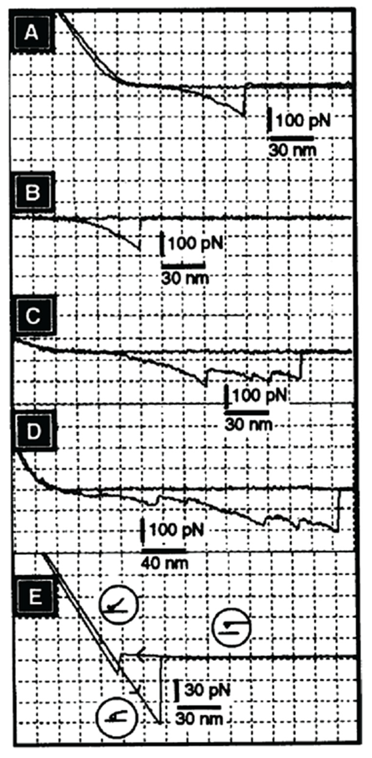 Molecules 26 00397 g009