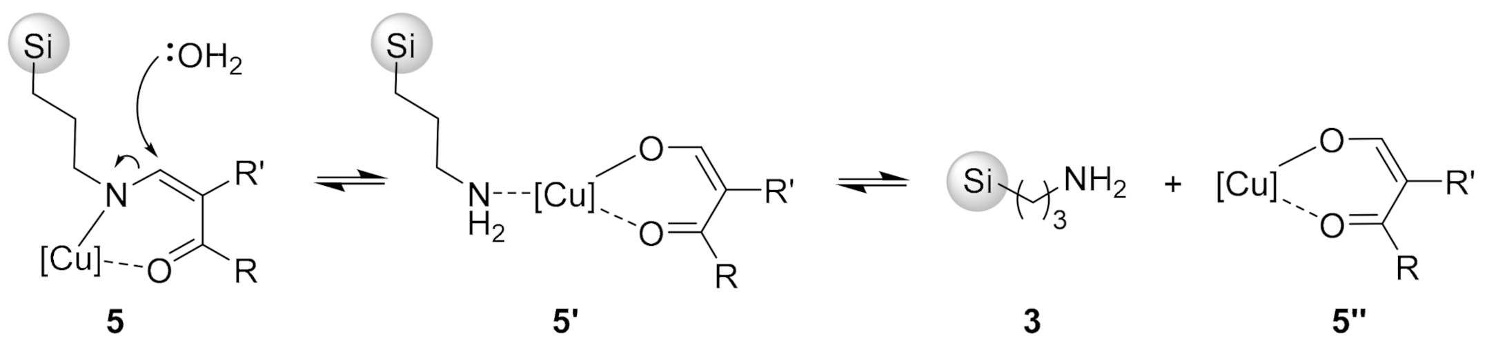 Molecules 26 00400 sch005