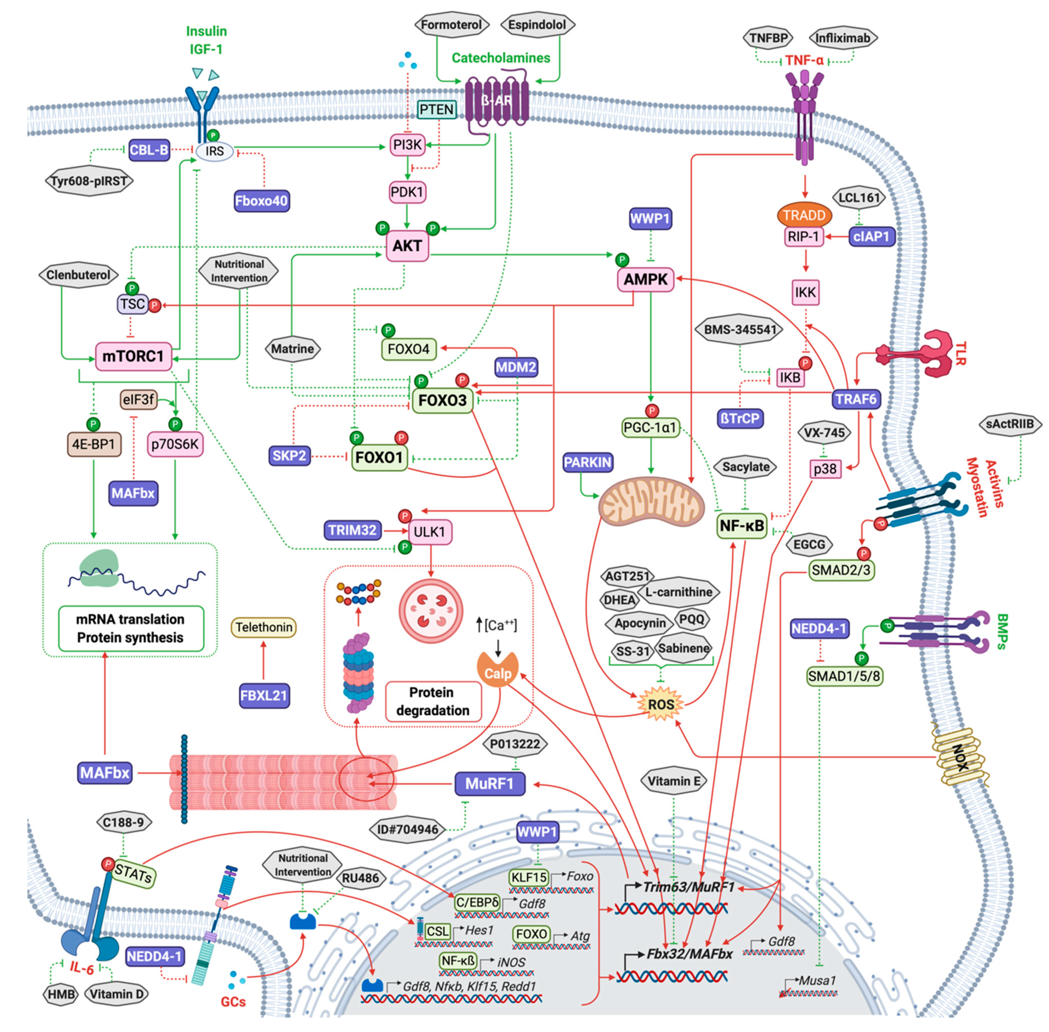 Molecules 26 00407 g002a