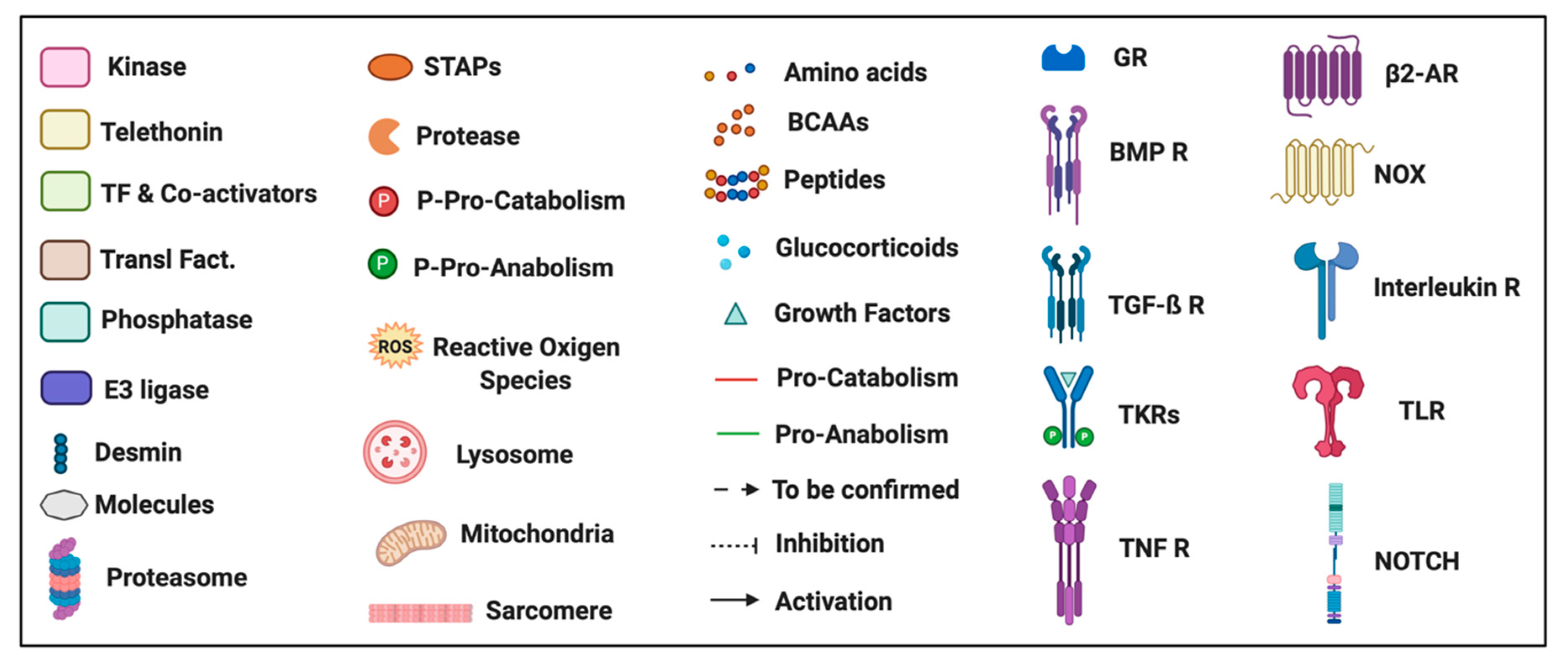 Molecules 26 00407 g002b